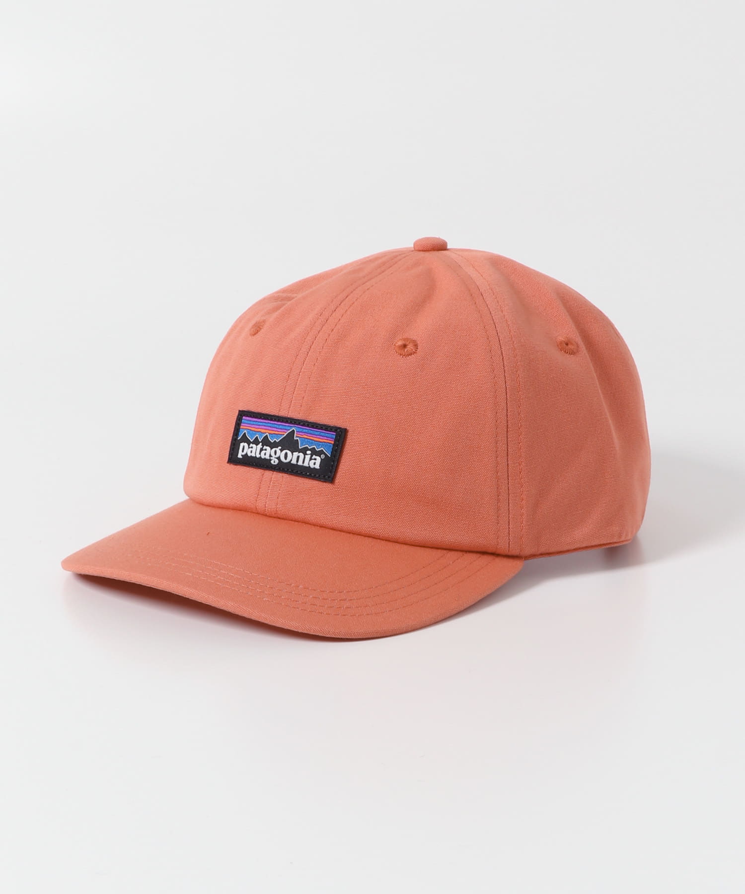 patagonia　P-6 Label Trad Cap