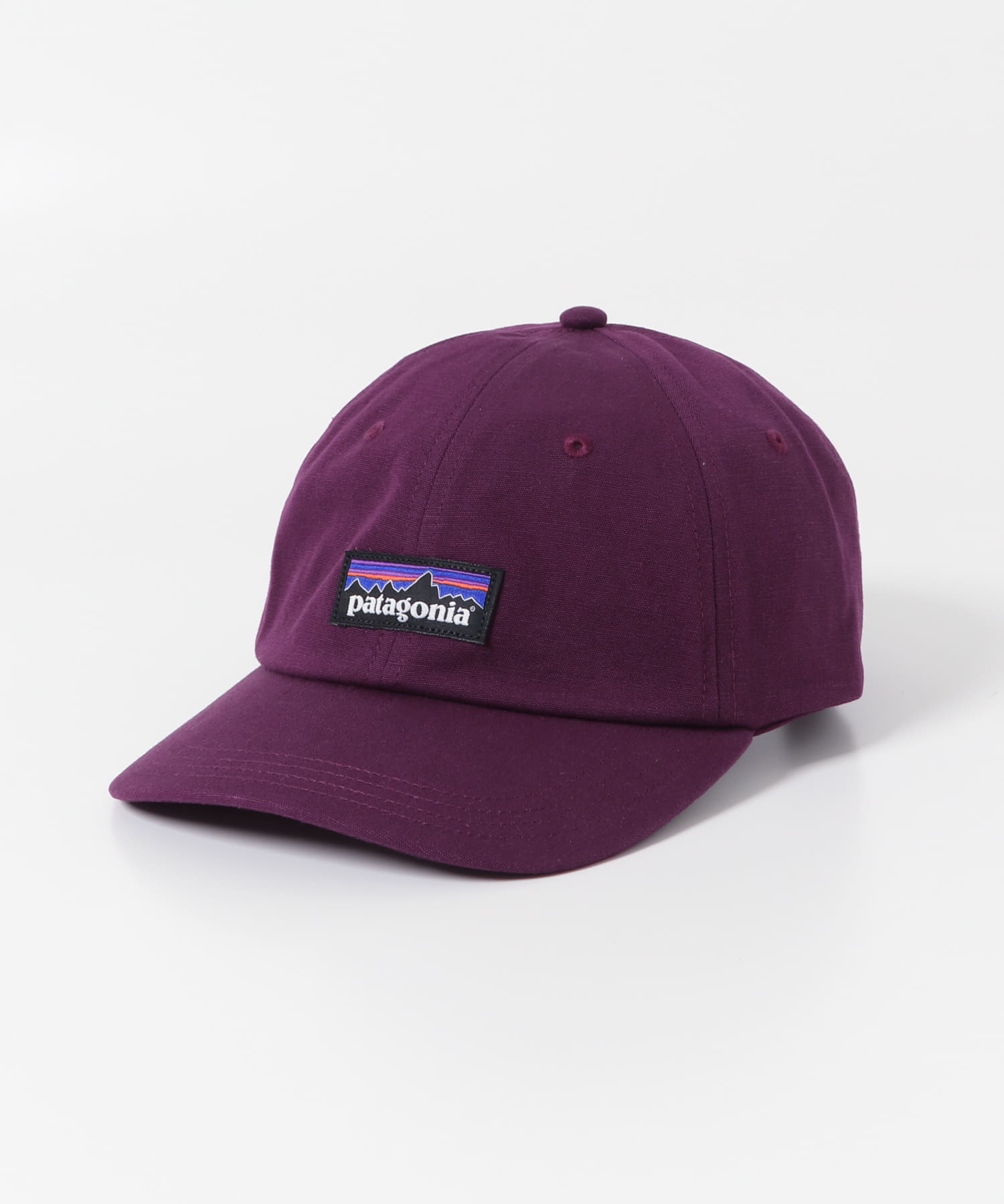 patagonia　P-6 Label Trad Cap