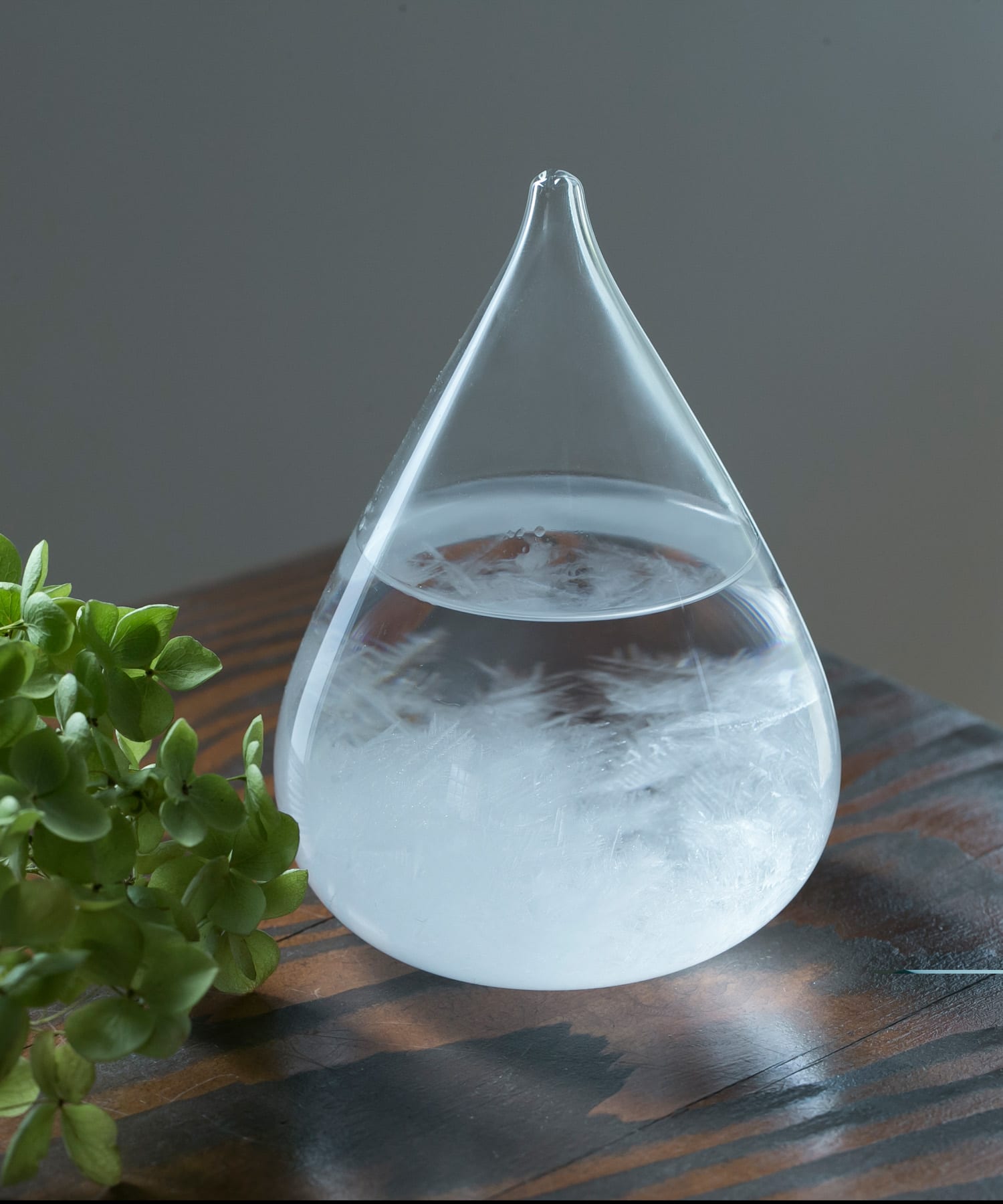 100percent　Tempo Drop mini - -