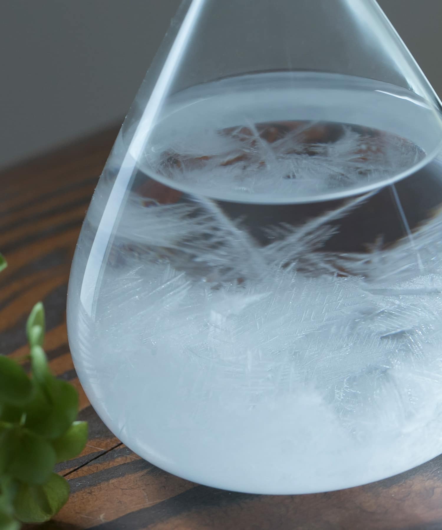 100percent　Tempo Drop mini - -