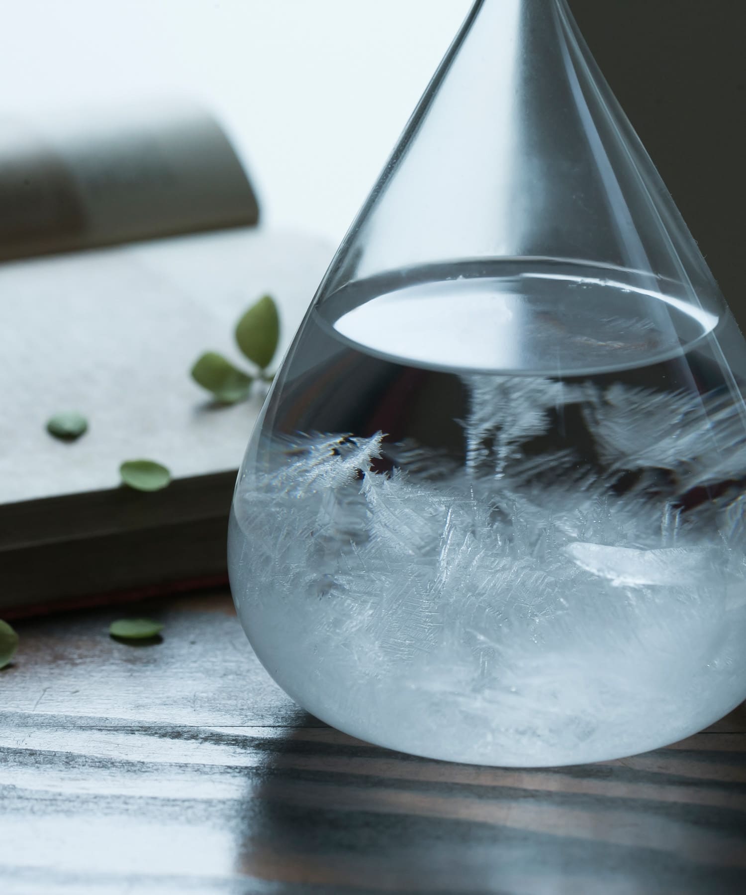 100percent　Tempo Drop mini - -