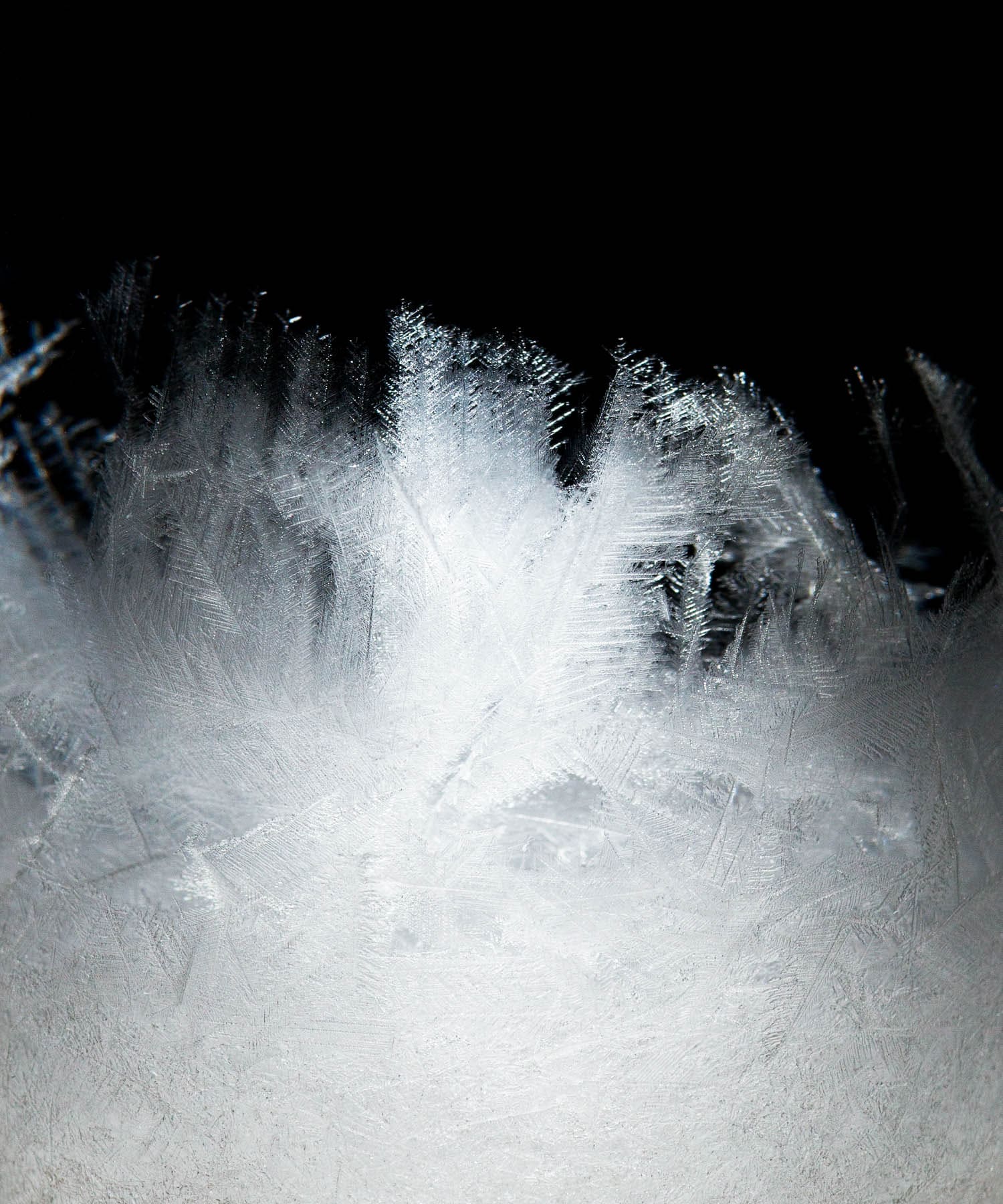 100percent　Tempo Drop mini - -