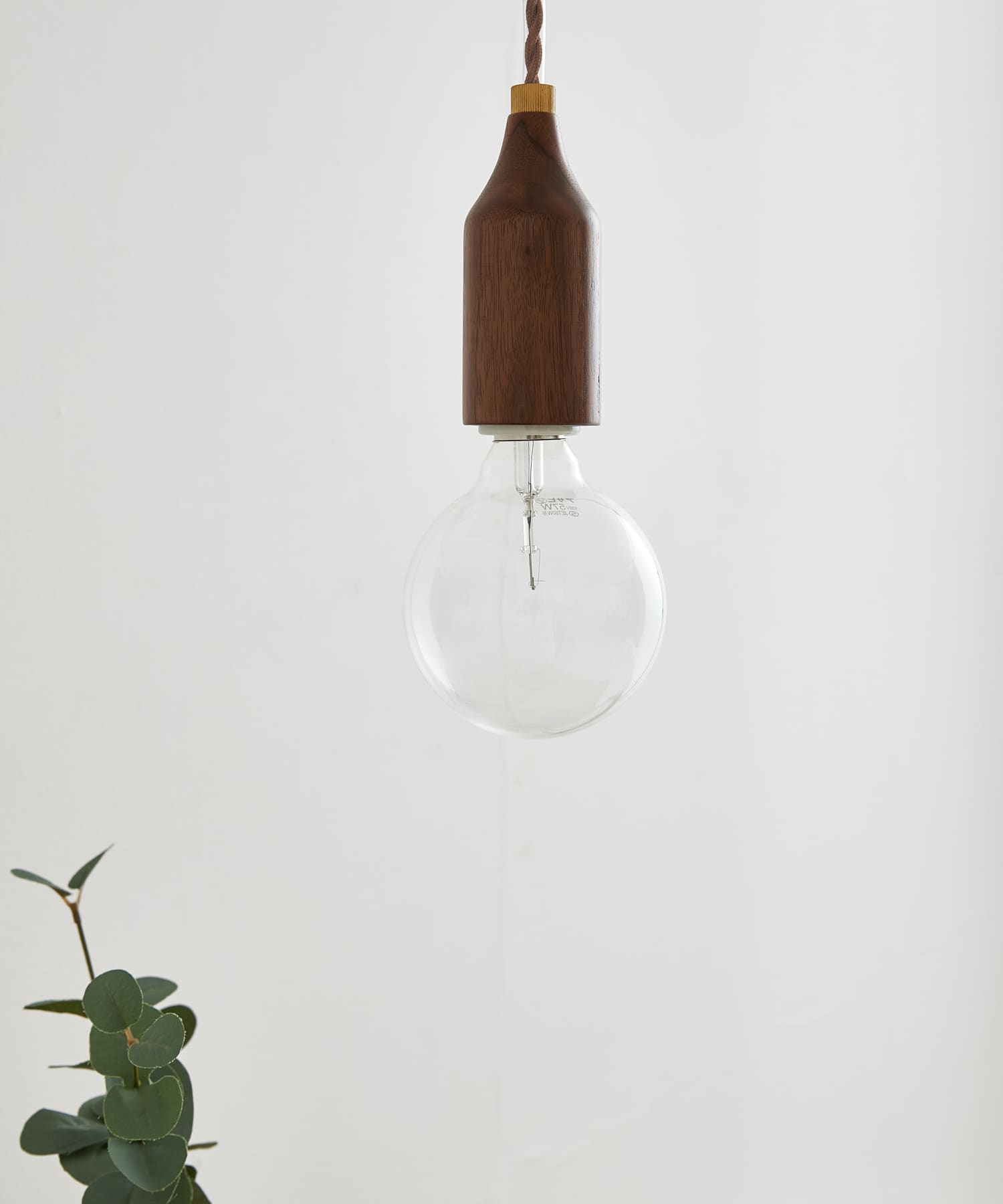 『WEB限定』APROZ.　MILKING-BR ウォールナット -