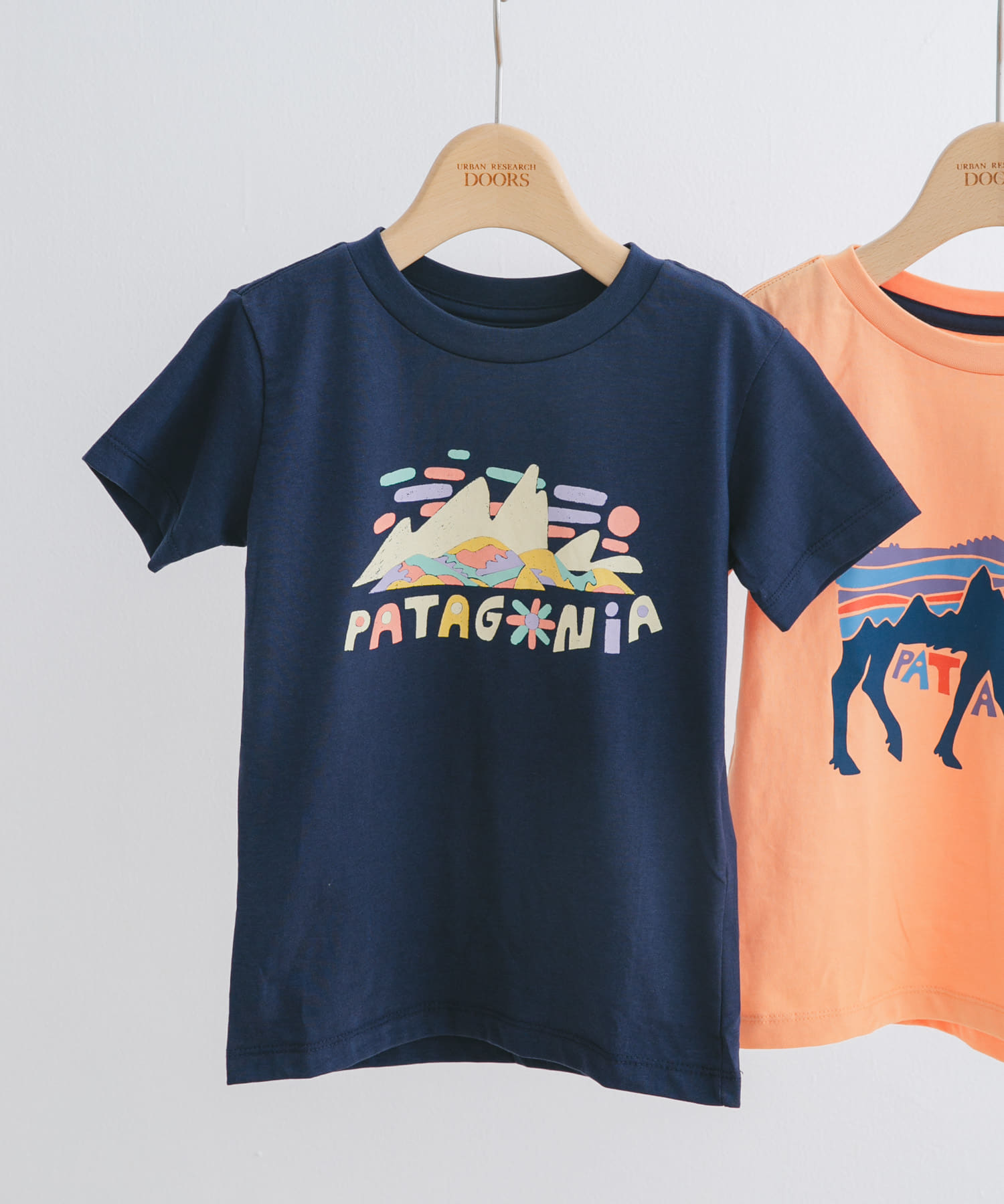 patagonia　Baby Graphic T-shirts(KIDS) FSBN 3T
