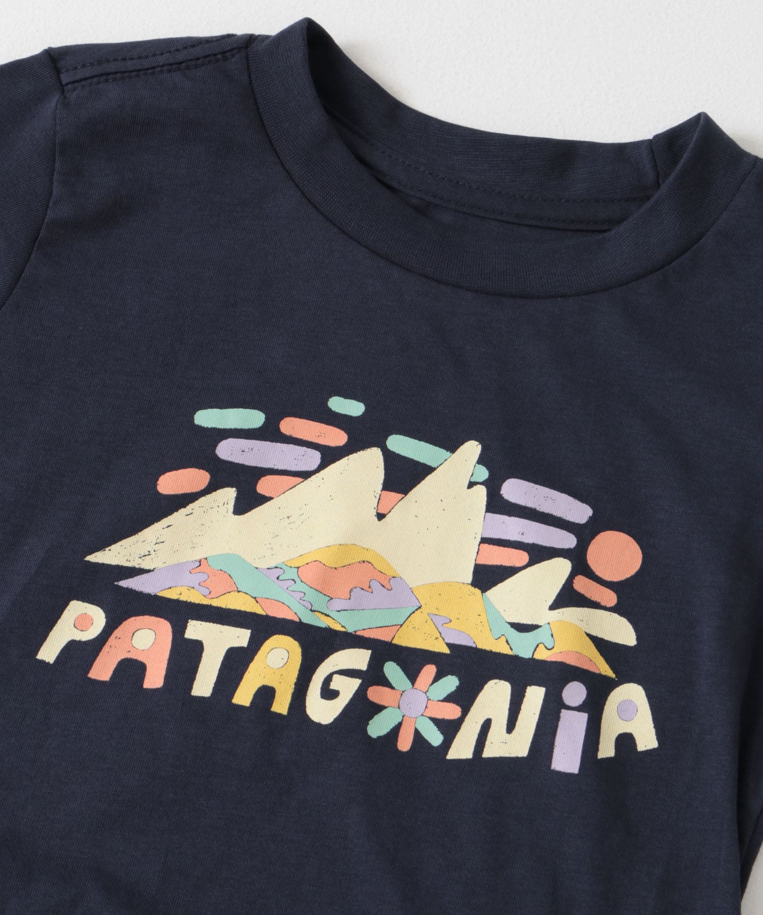 patagonia　Baby Graphic T-shirts(KIDS) FSBN 3T