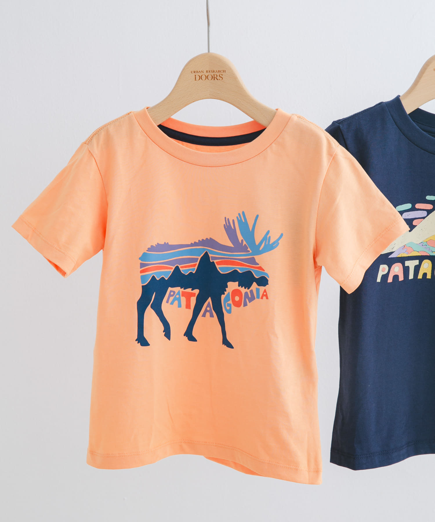 patagonia　Baby Graphic T-shirts(KIDS) FMHE 3T