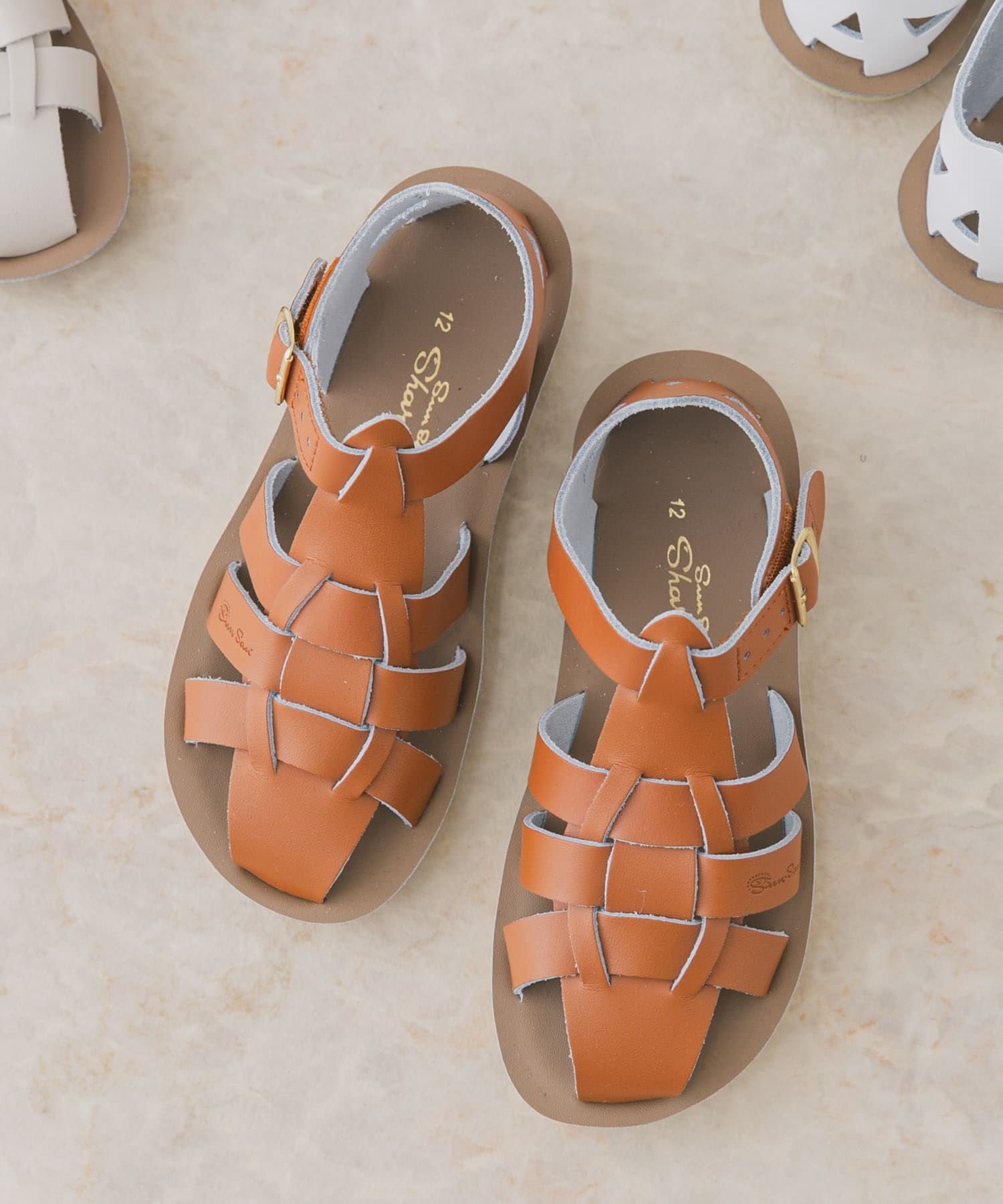 Salt Water Sandals　SS Shark(KIDS) Tan 16