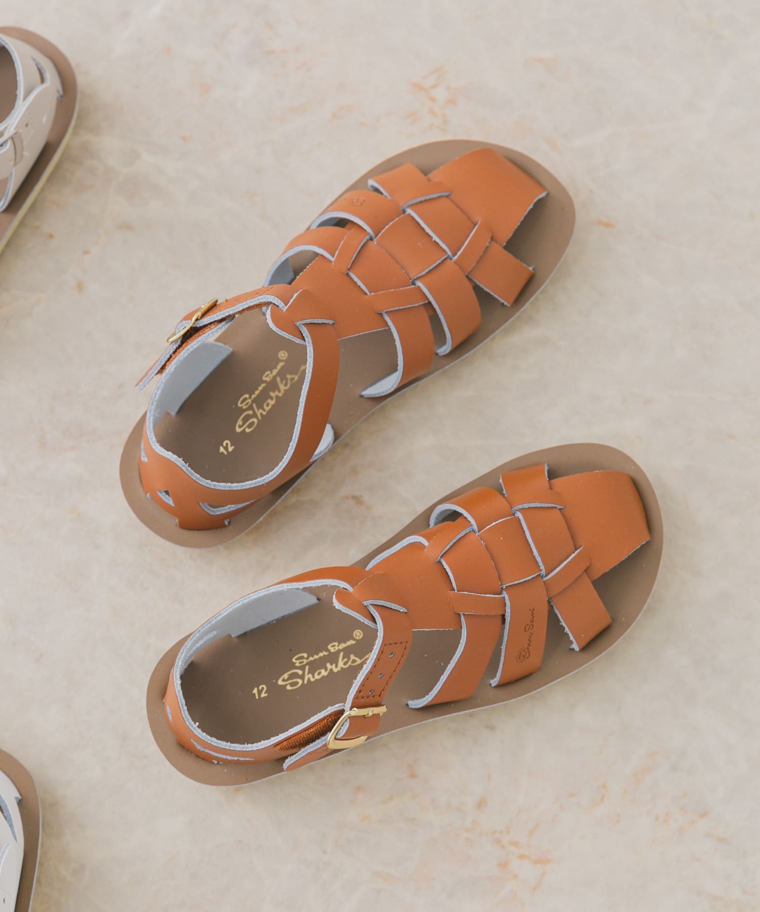 Salt Water Sandals　SS Shark(KIDS) Tan 16