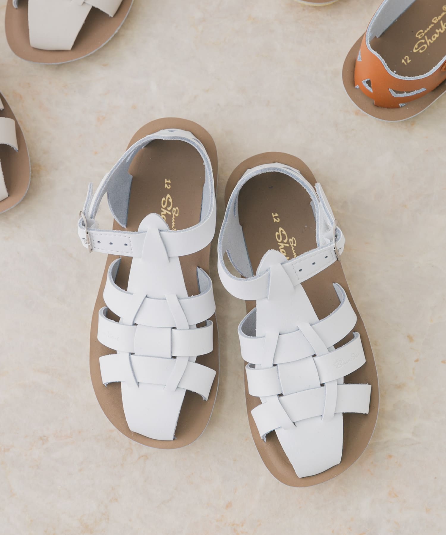 Salt Water Sandals　SS Shark(KIDS) White 16