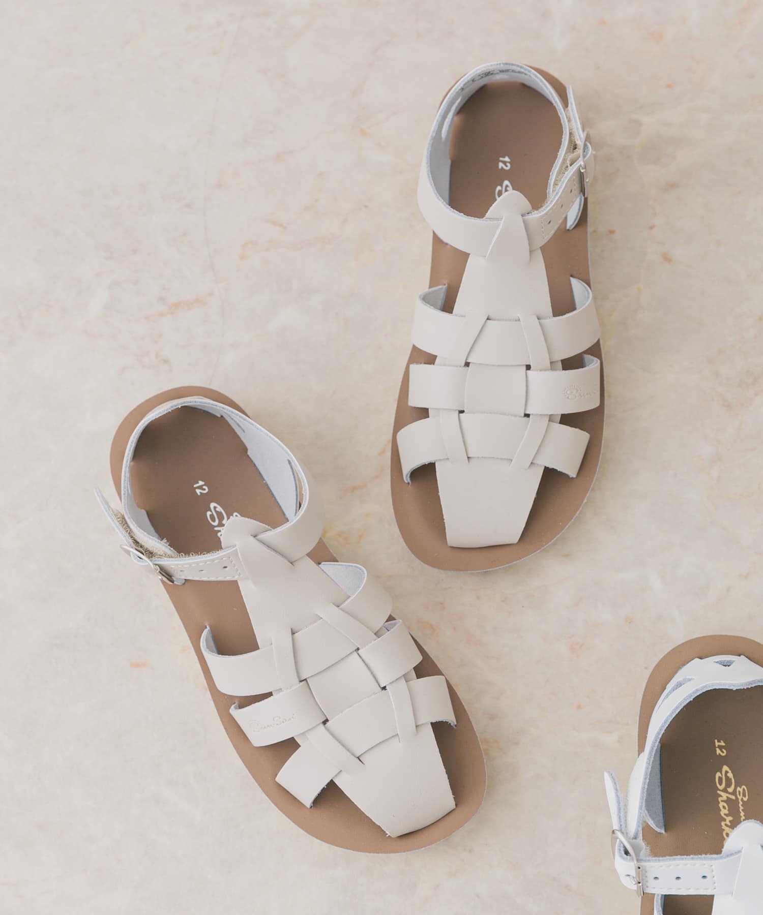 Salt Water Sandals　SS Shark(KIDS) Stone 16
