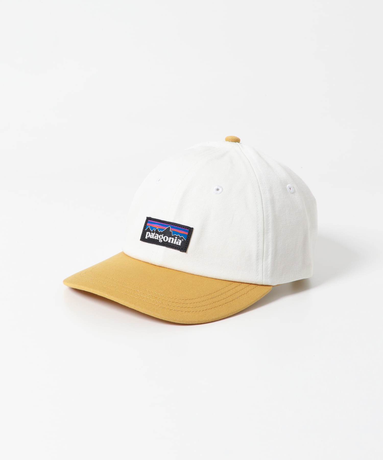 patagonia　P-6 Label Trad Cap
