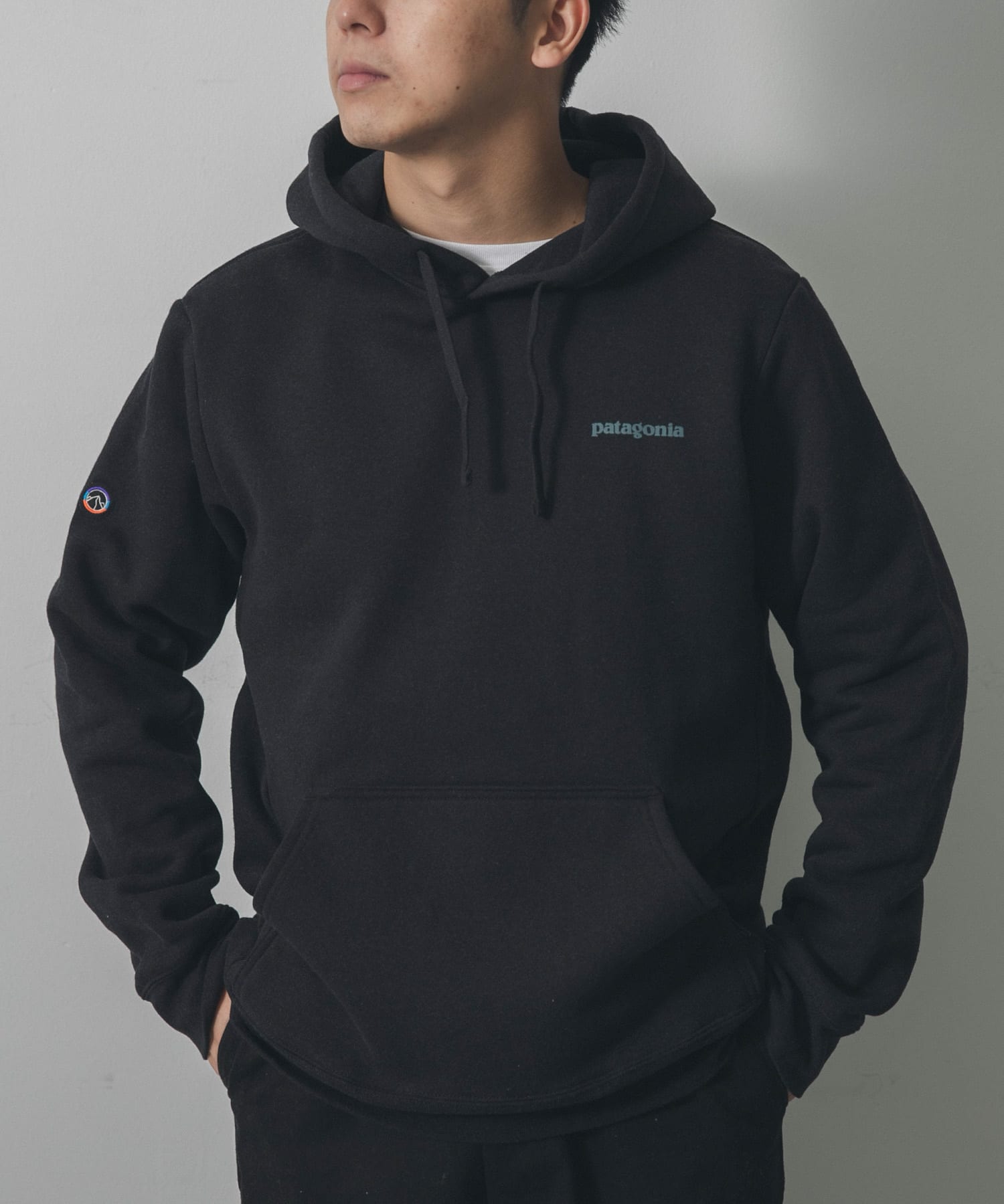 patagonia　Fitz RoyIcon Uprisal Hoody