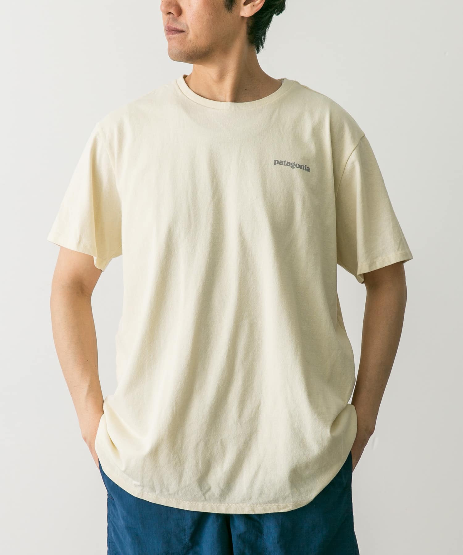 patagonia　Fitz Roy Icon Re-T-shirts