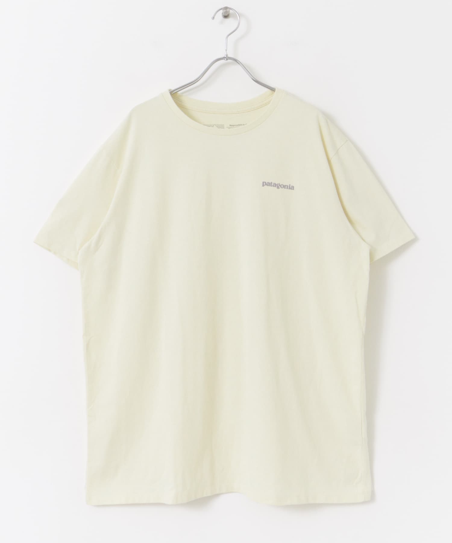 patagonia　Fitz Roy Icon Re-T-shirts BCW S