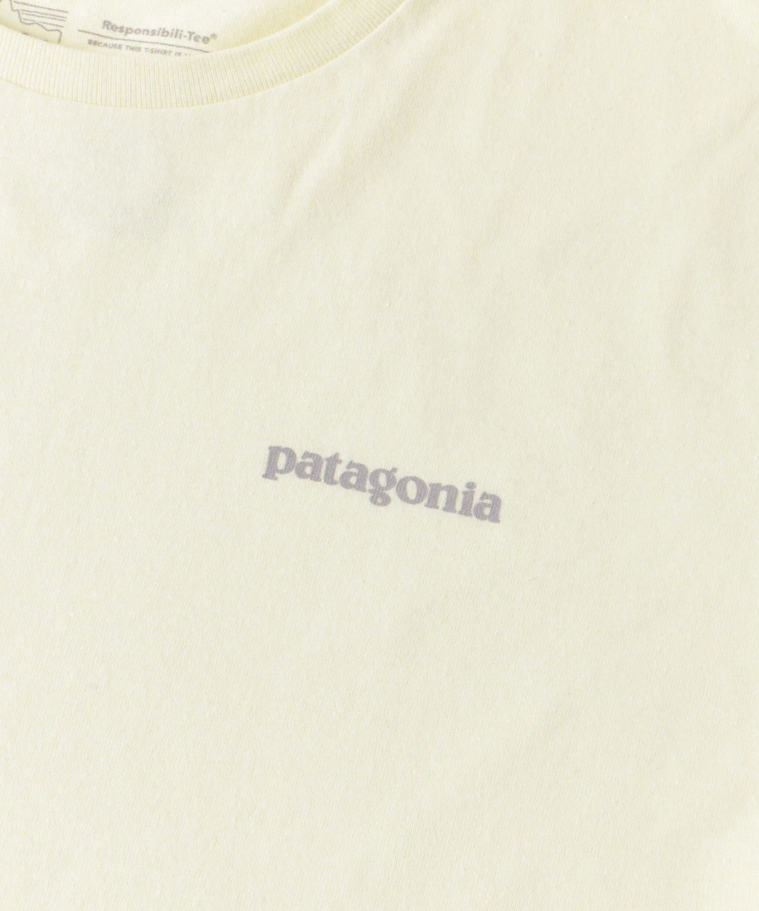 patagonia　Fitz Roy Icon Re-T-shirts BCW S