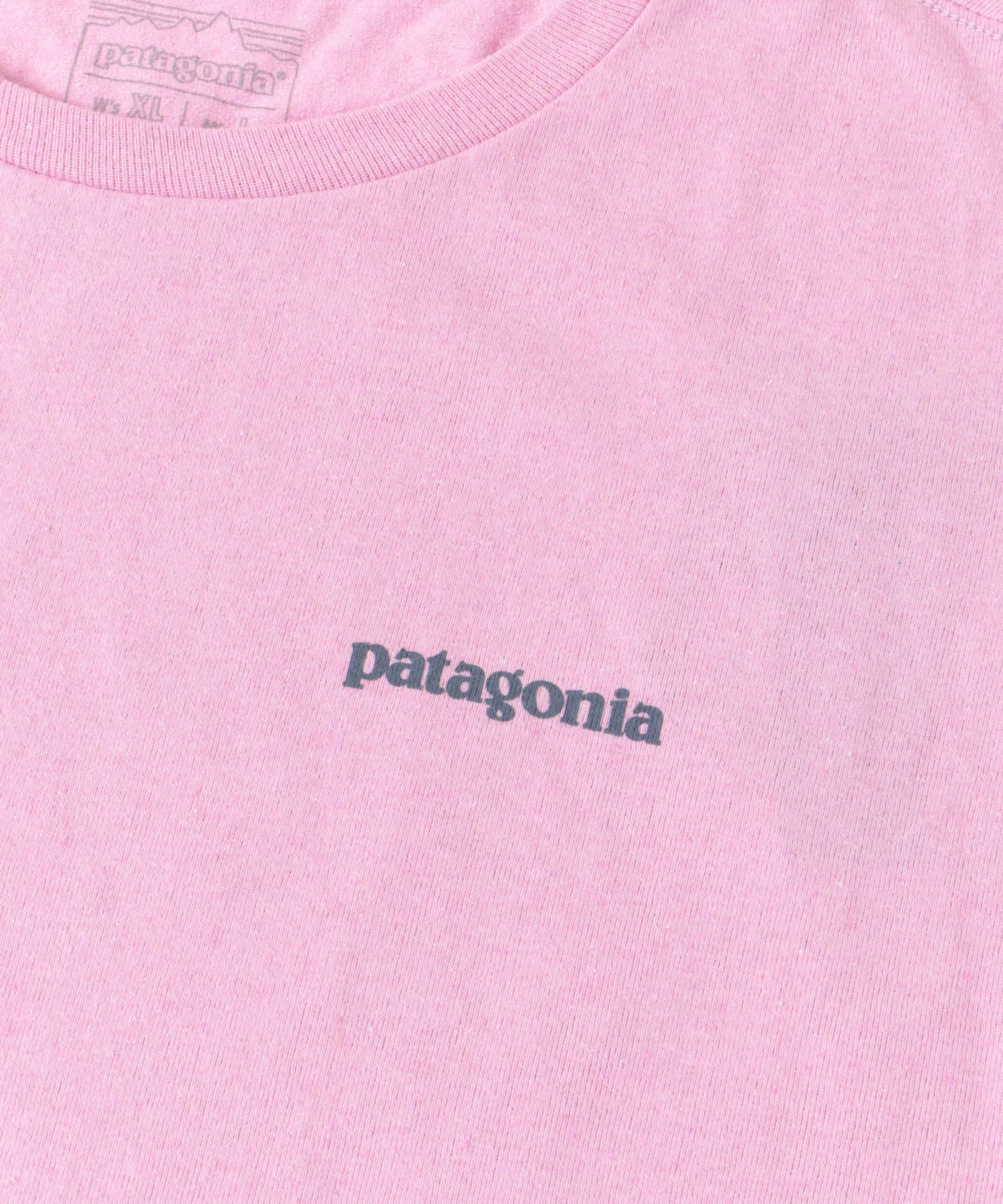 patagonia　Fitz Roy Icon Re-T-shirts MLKE S
