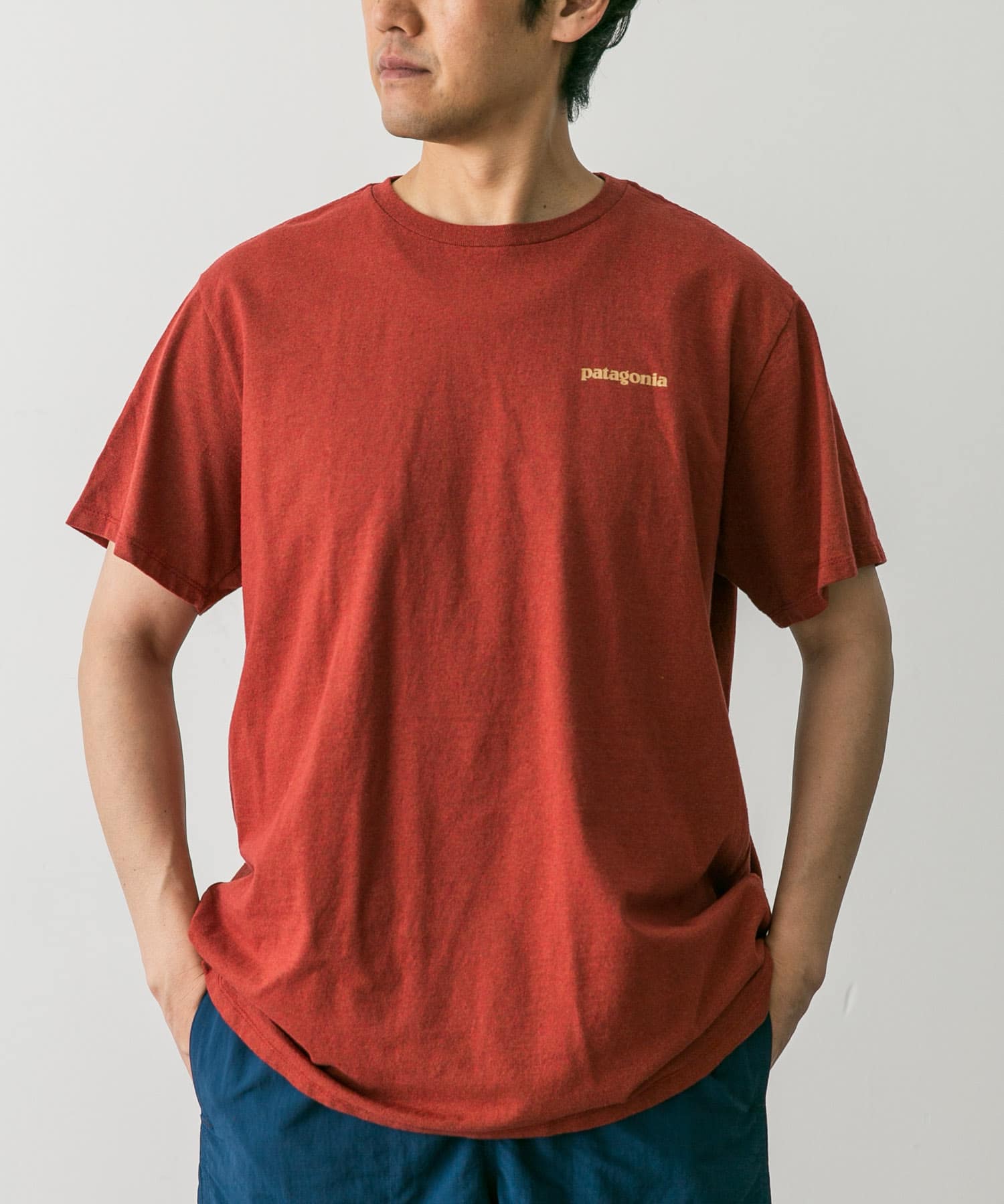 patagonia　Fitz Roy Icon Re-T-shirts
