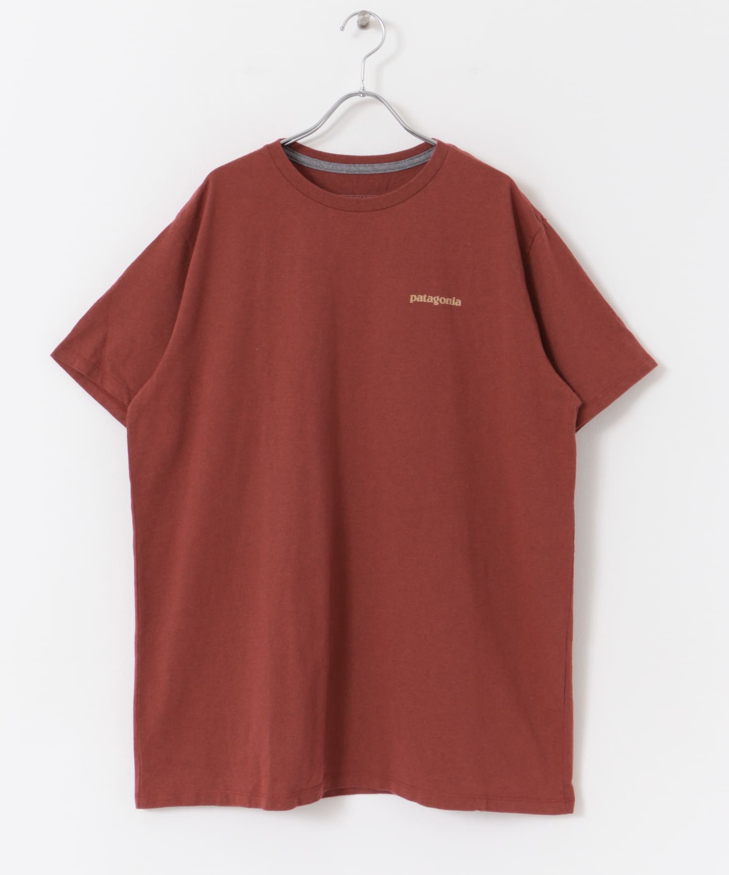 patagonia　Fitz Roy Icon Re-T-shirts MANR S