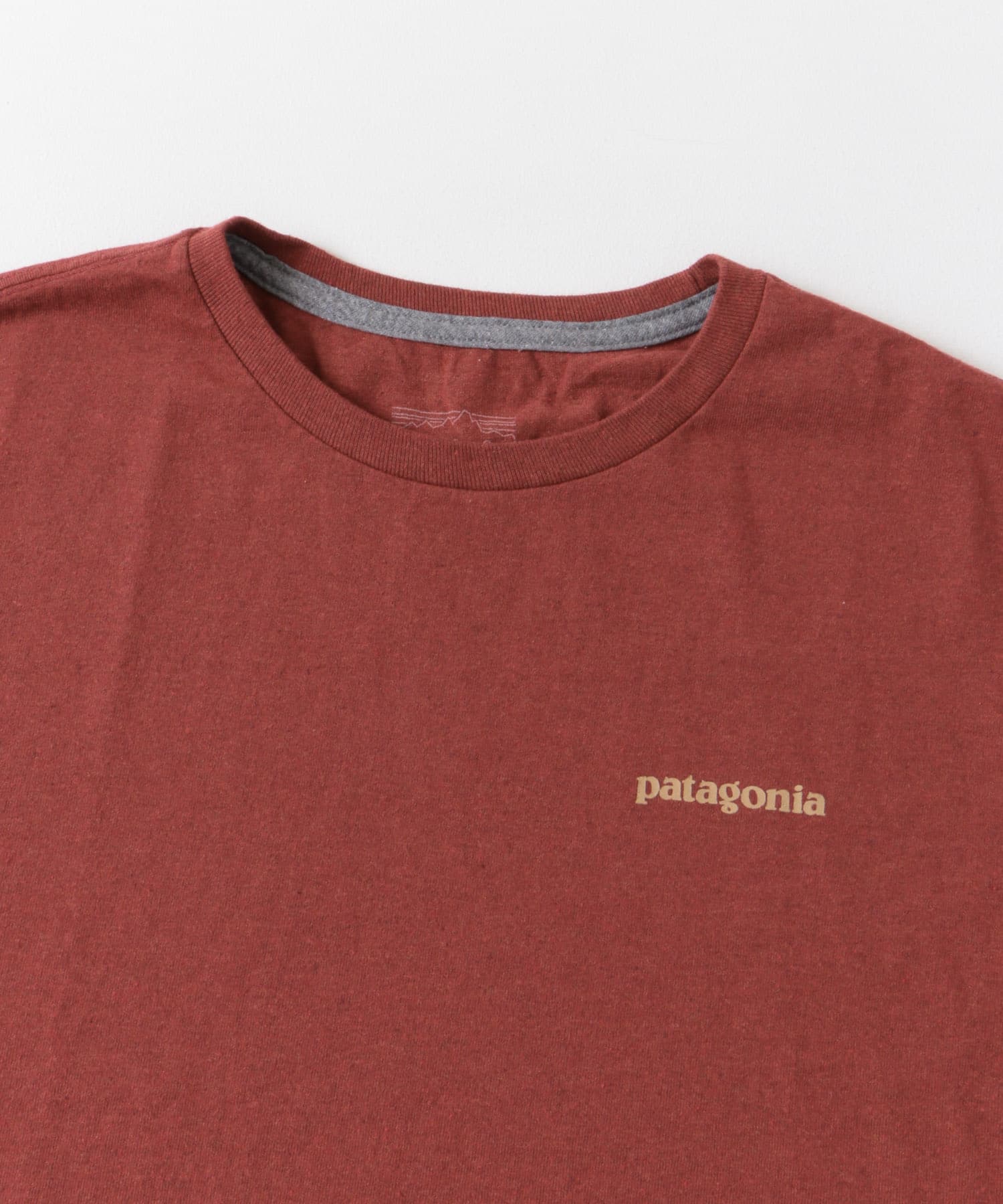 patagonia　Fitz Roy Icon Re-T-shirts MANR S