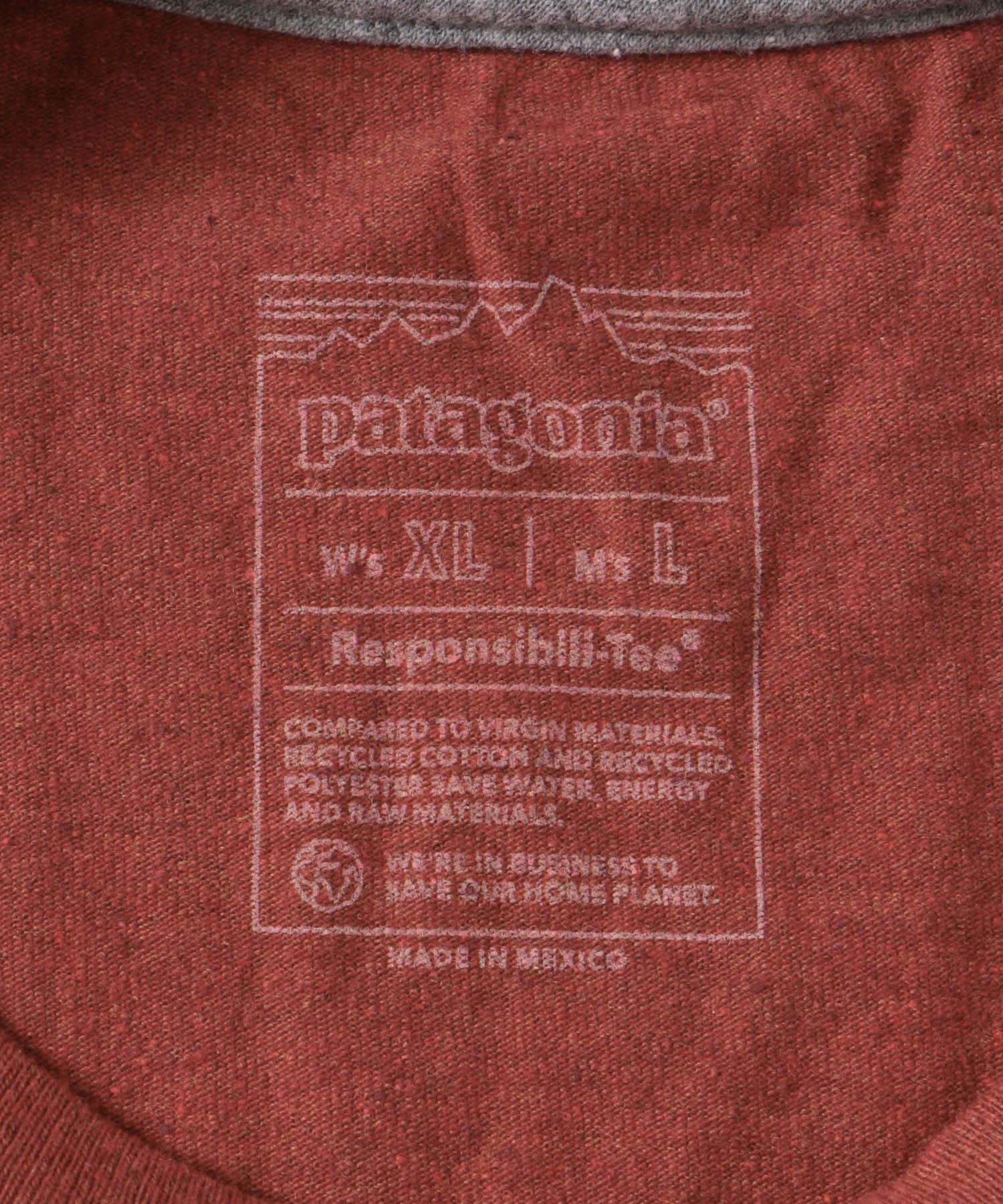 patagonia　Fitz Roy Icon Re-T-shirts MANR S