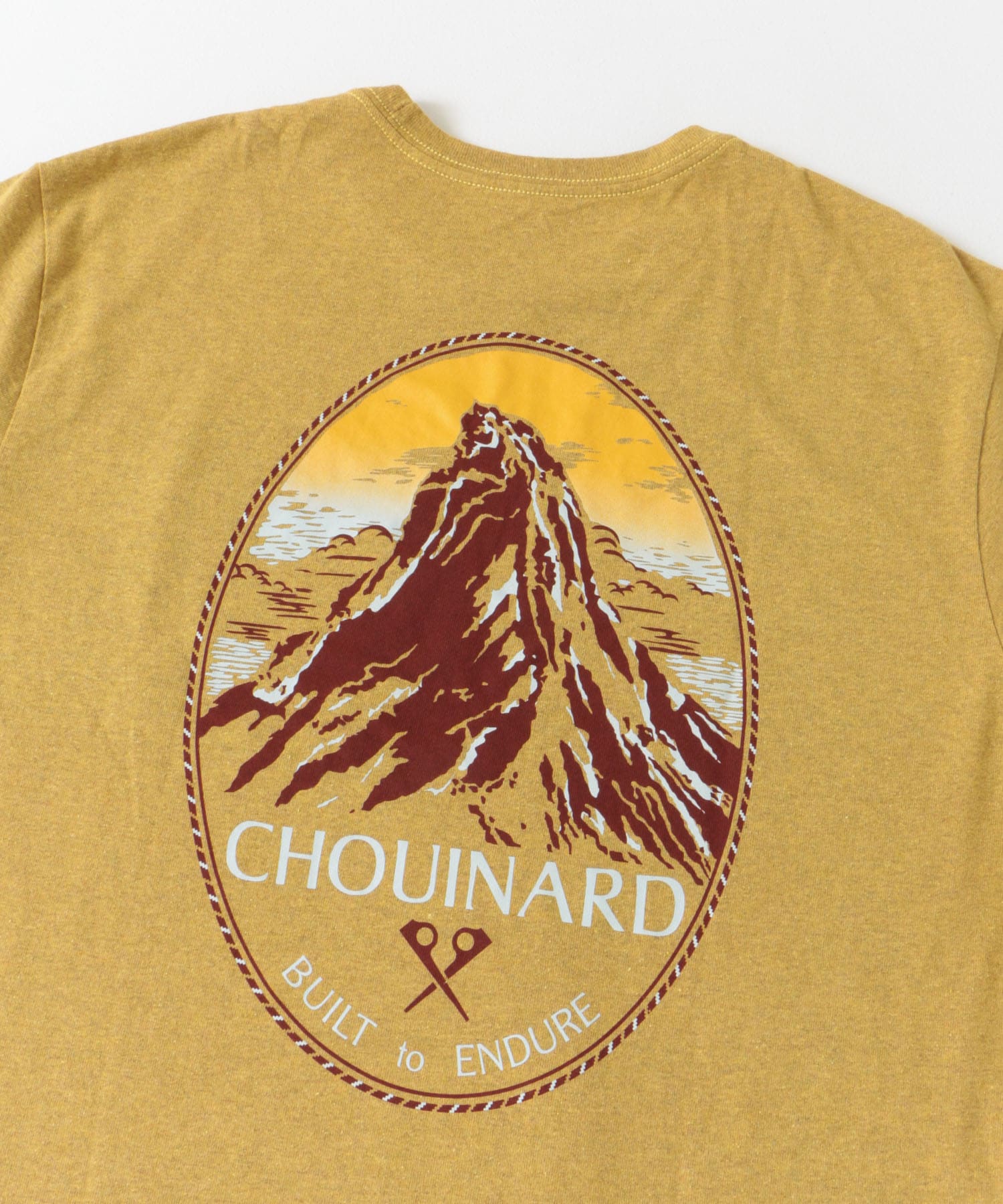 patagonia　ChouinardCrestPocketRe-T-Shirts PFGD S