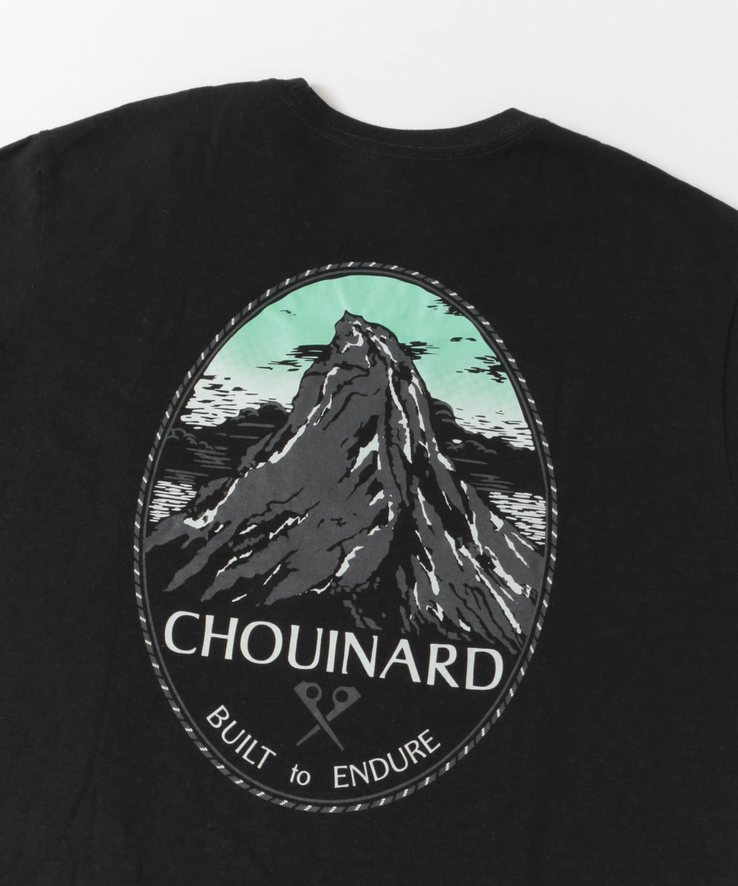 patagonia　ChouinardCrestPocketRe-T-Shirts INBK S