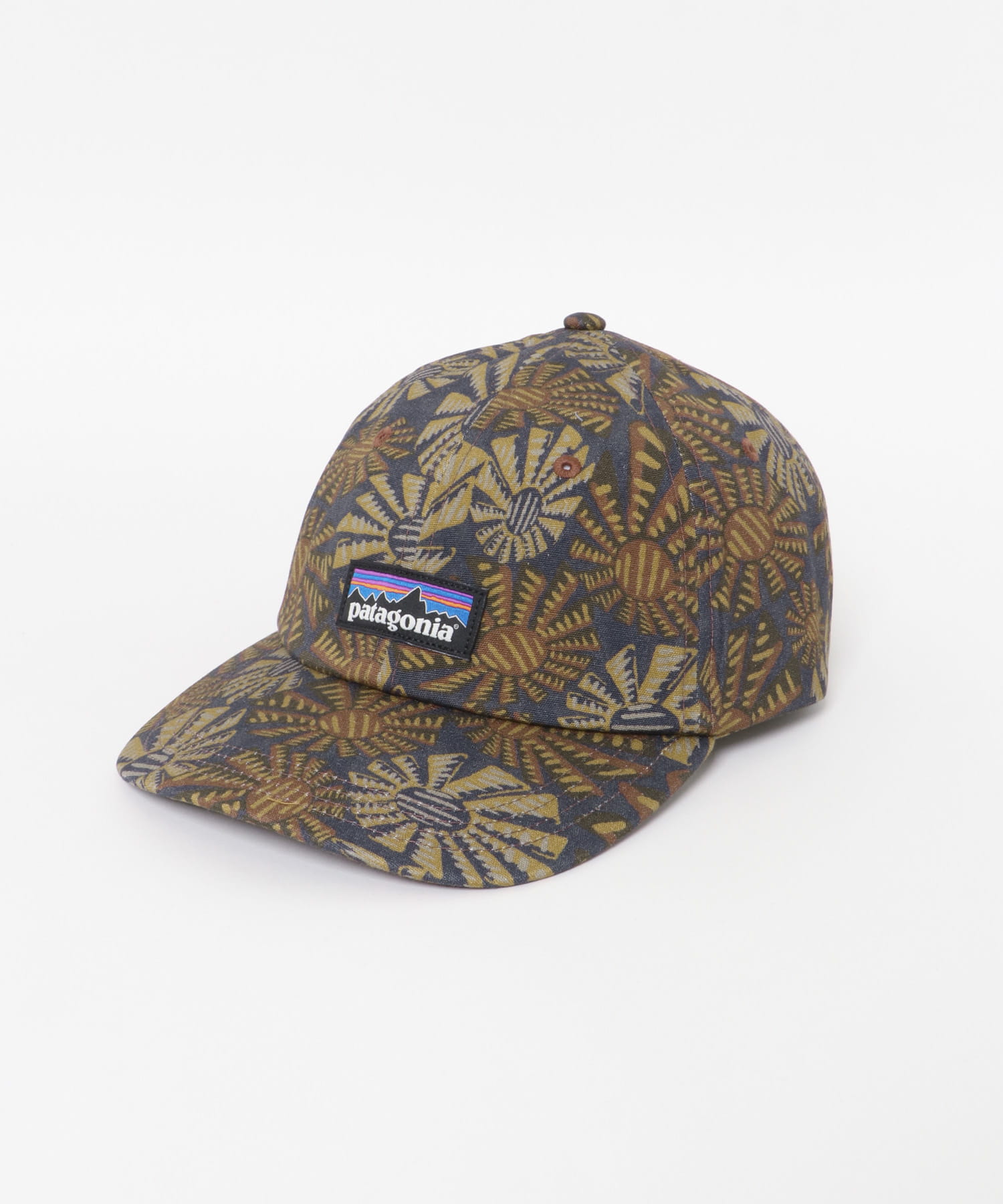 patagonia　P-6 Label Trad Cap SWBE one