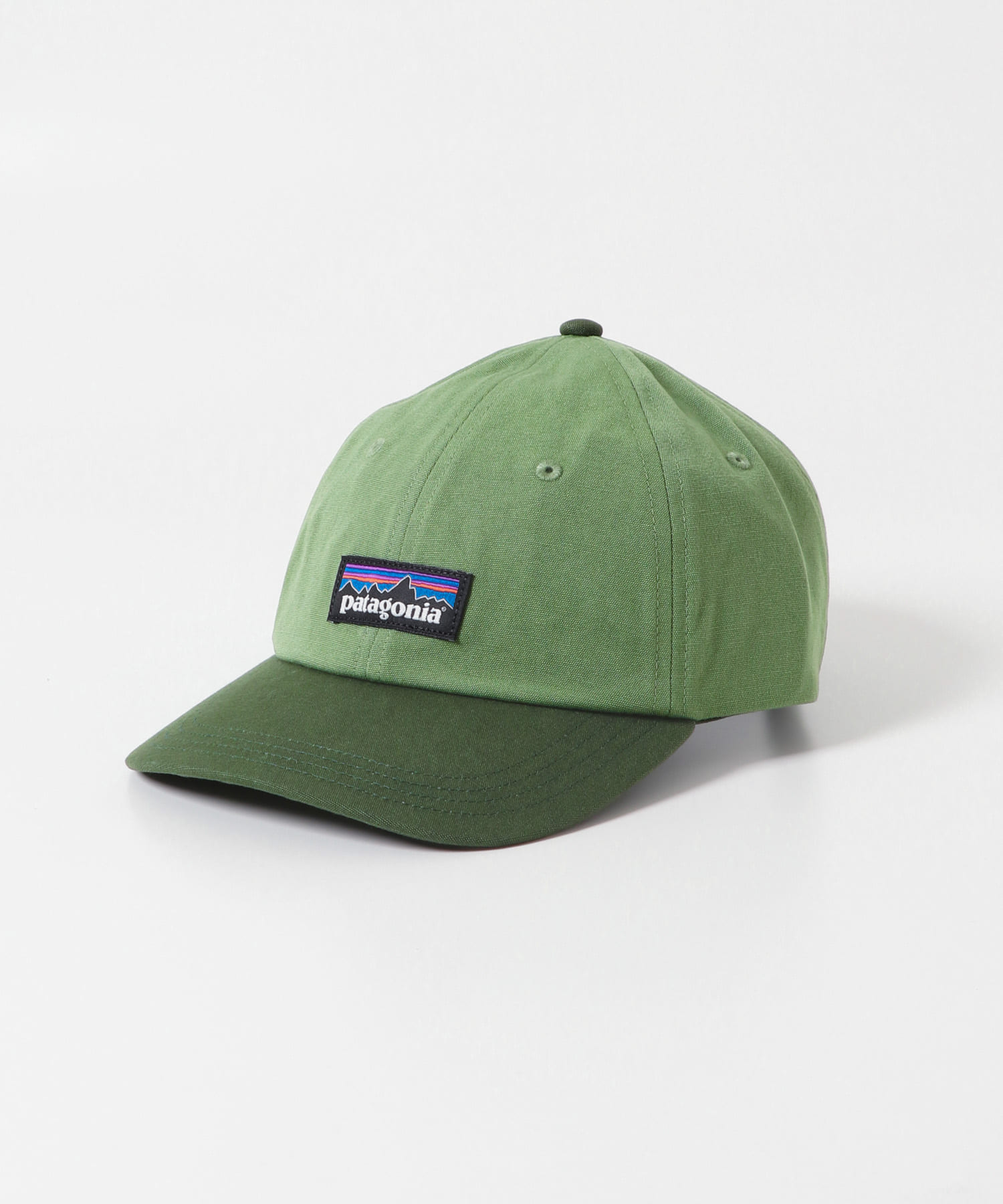 patagonia　P-6 Label Trad Cap