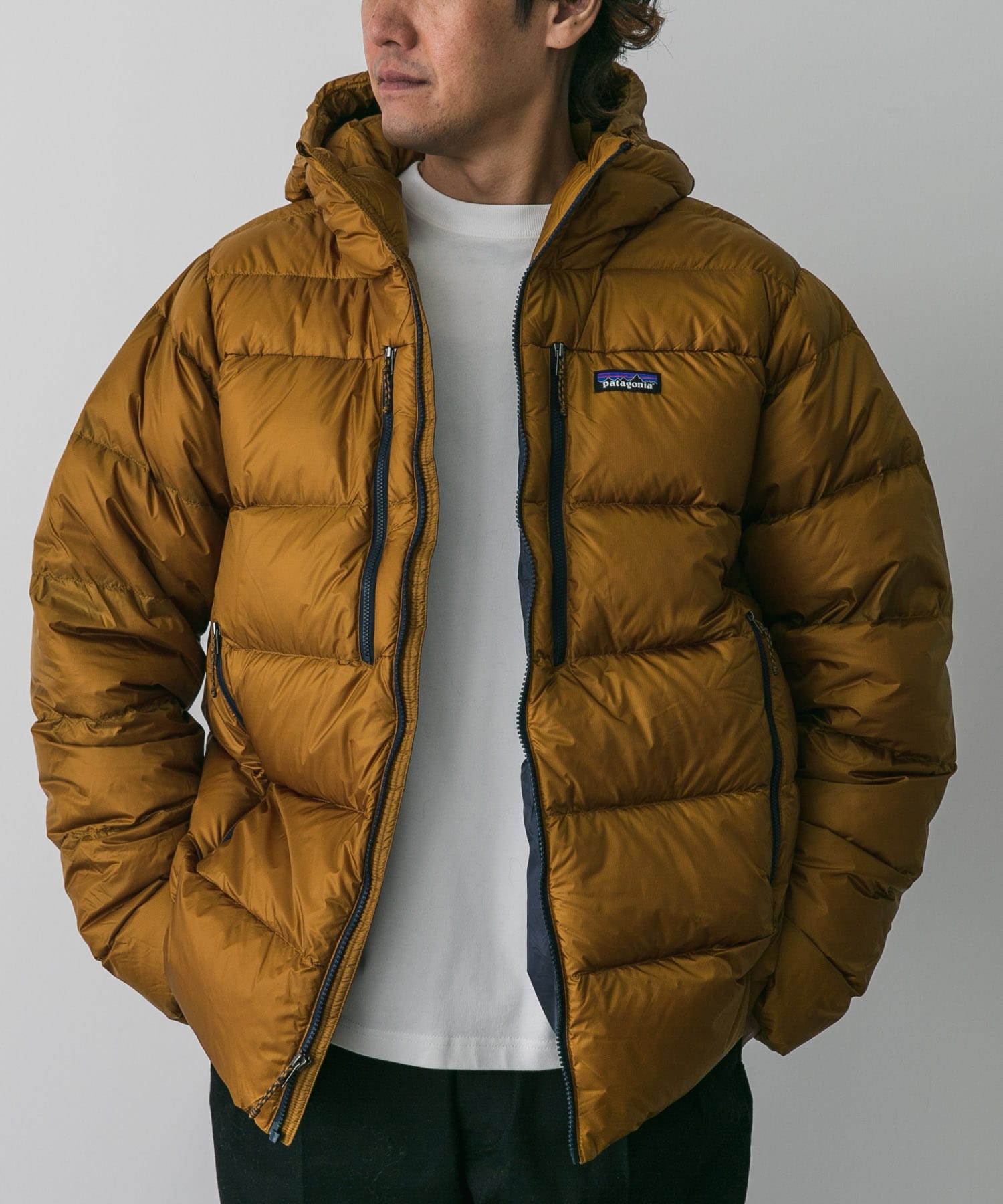 patagonia　Ms Fitz Roy Down Hoody