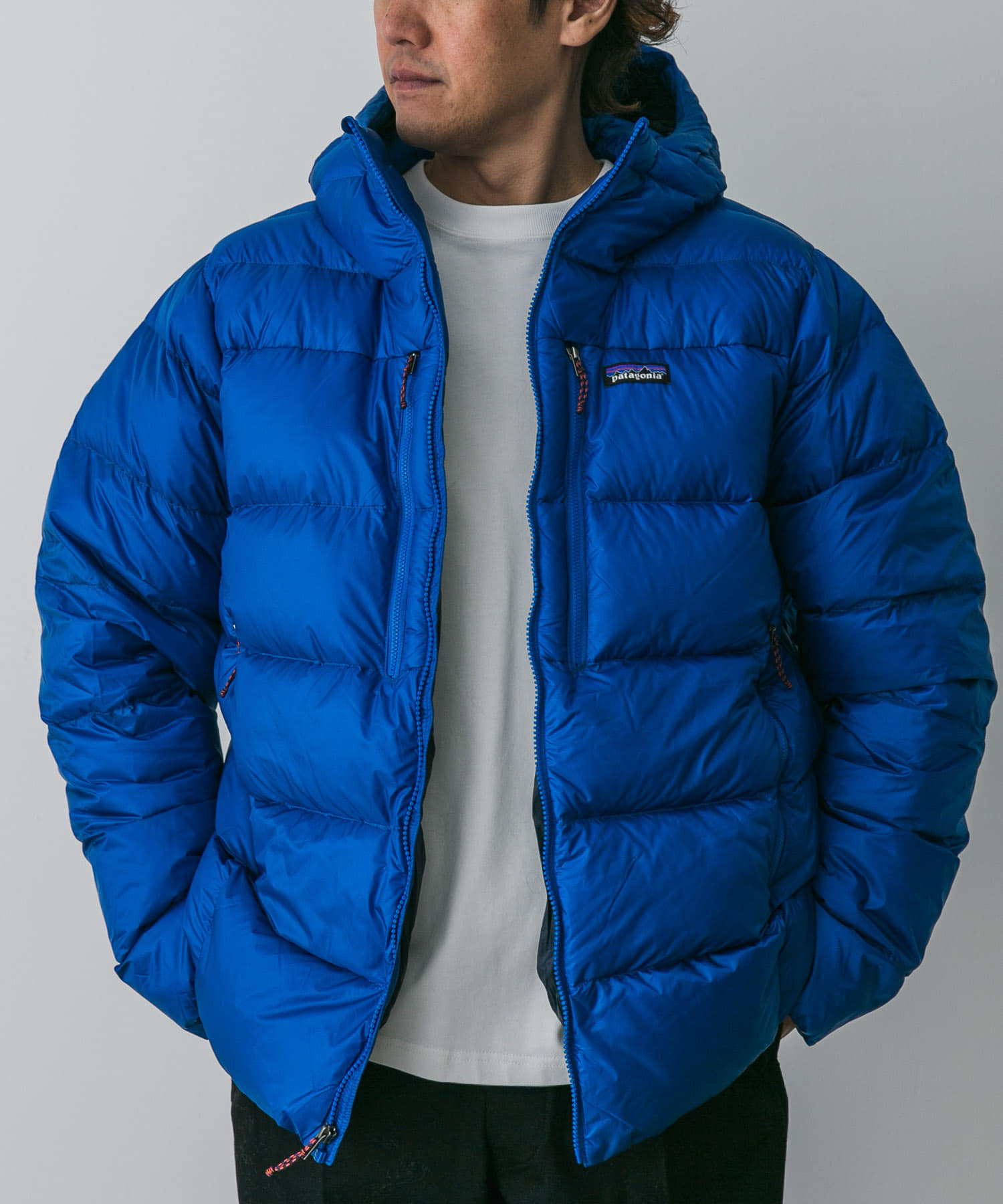 patagonia　Ms Fitz Roy Down Hoody