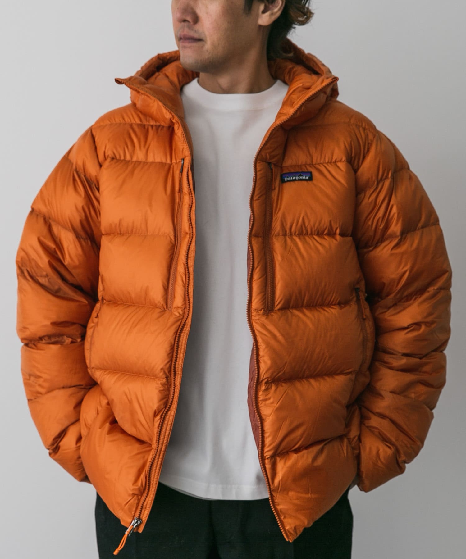 patagonia　Ms Fitz Roy Down Hoody