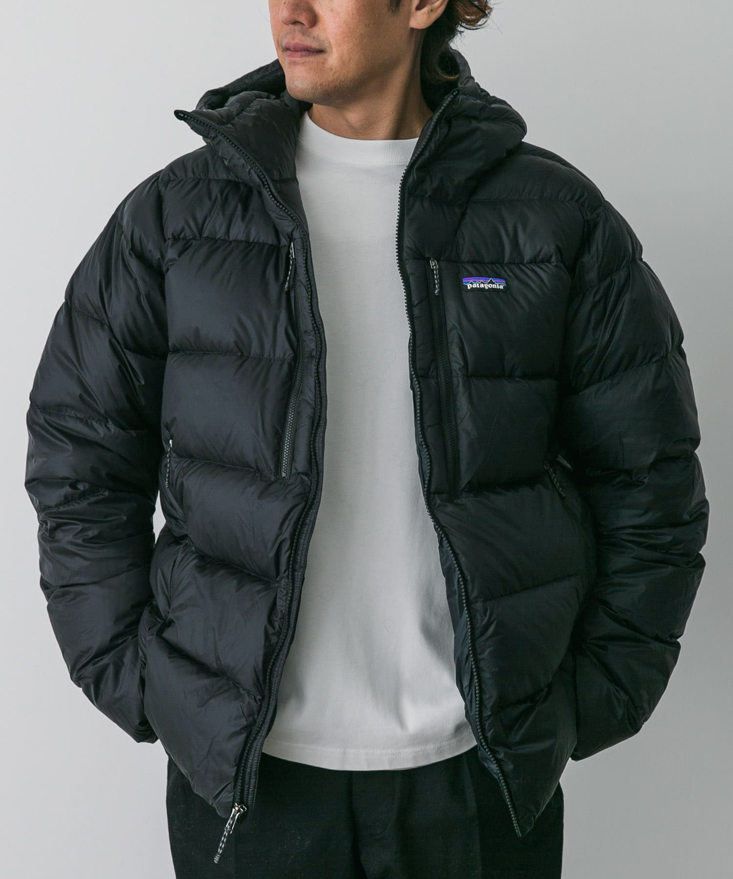 patagonia　Ms Fitz Roy Down Hoody