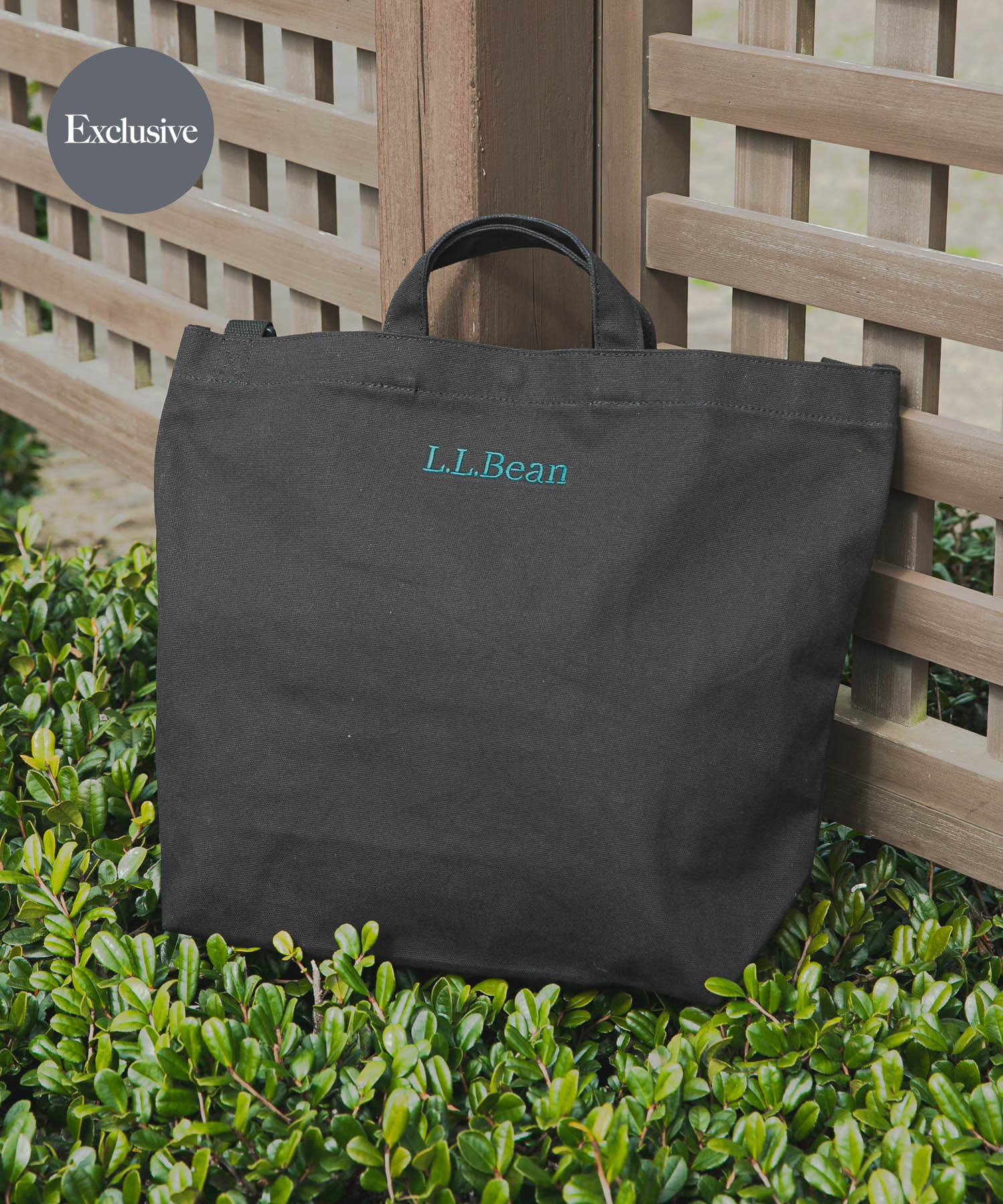 『別注』L.L.Bean×DOORS　Shoulder Strap Tote L Black one