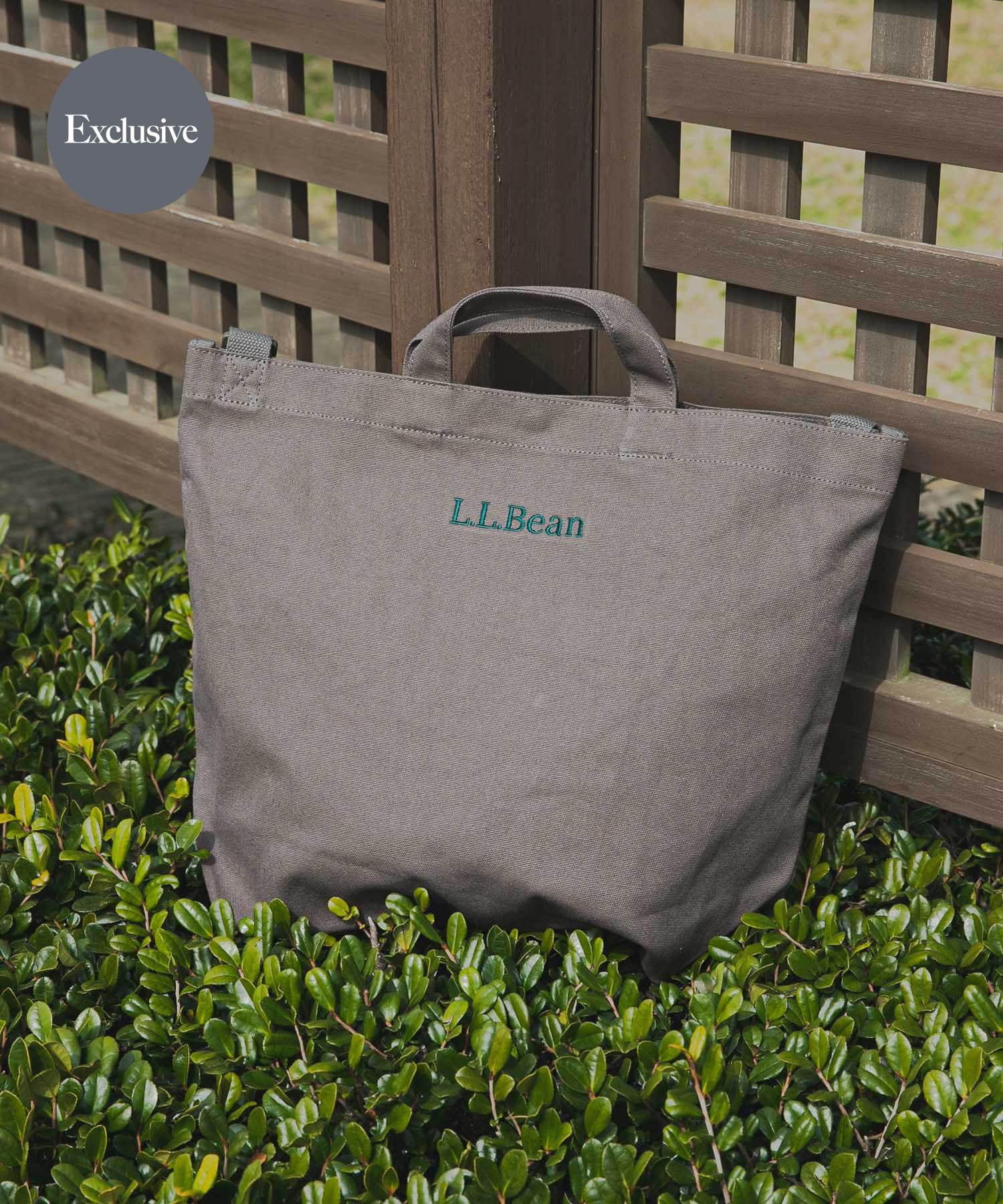『別注』L.L.Bean×DOORS　Shoulder Strap Tote L CarbonGray one