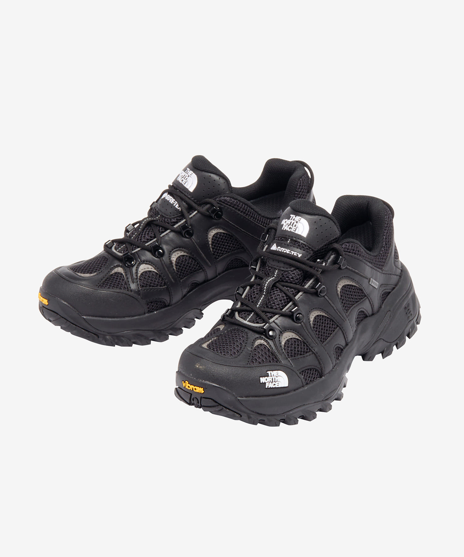 THE NORTH FACE　Hedgehog RVST GORE-TEX