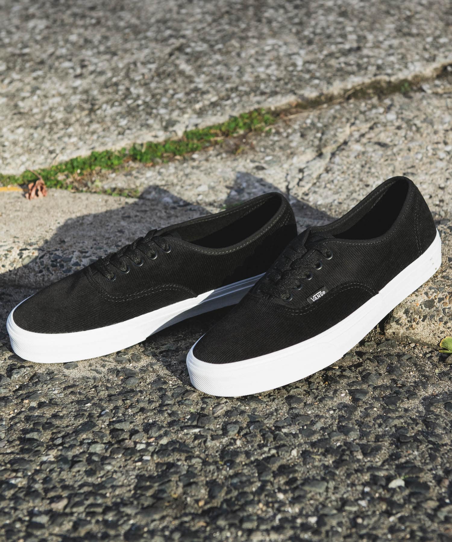 VANS　Exclusive Authentic CD BLACK 26
