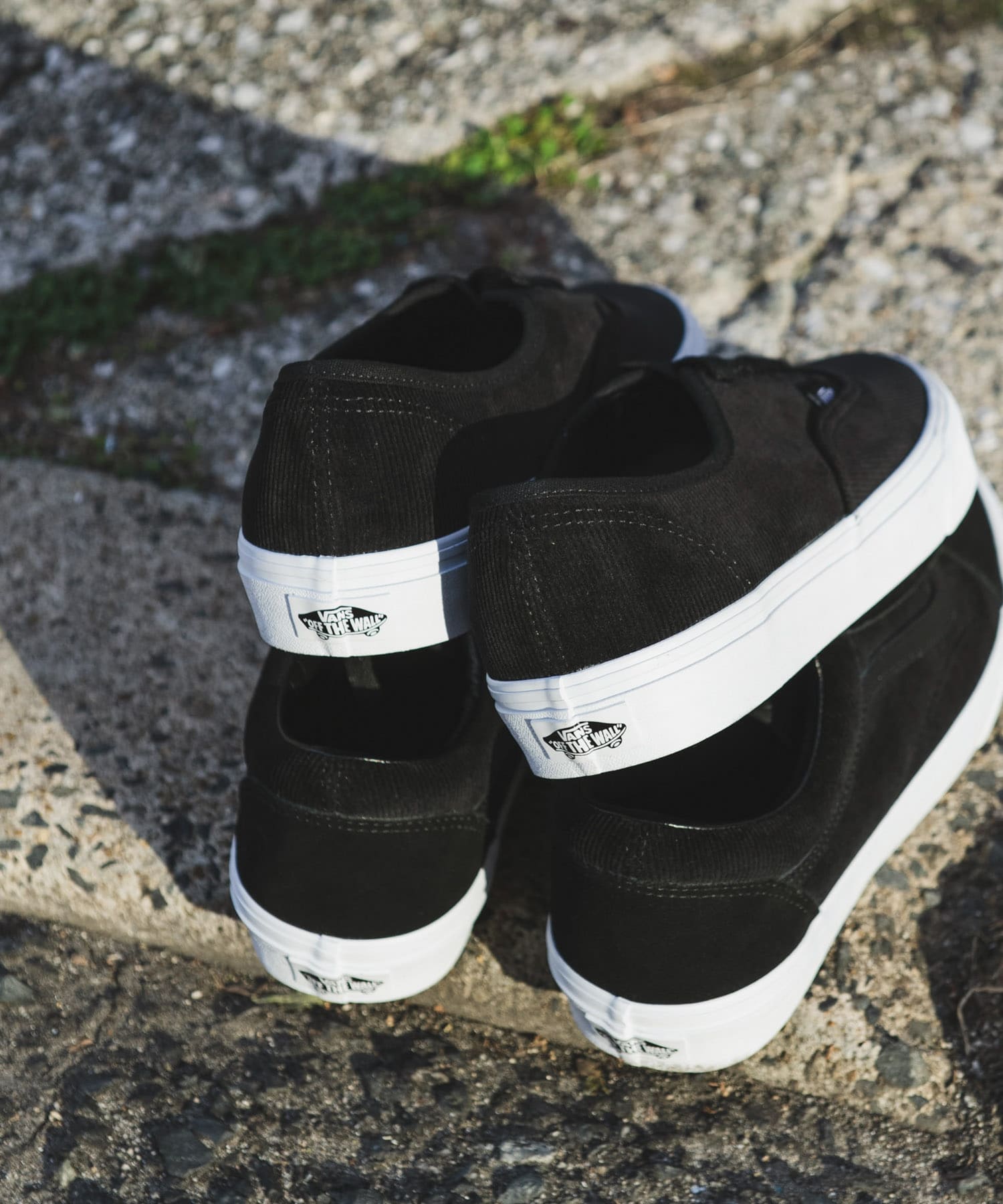 VANS　Exclusive Authentic CD BLACK 26