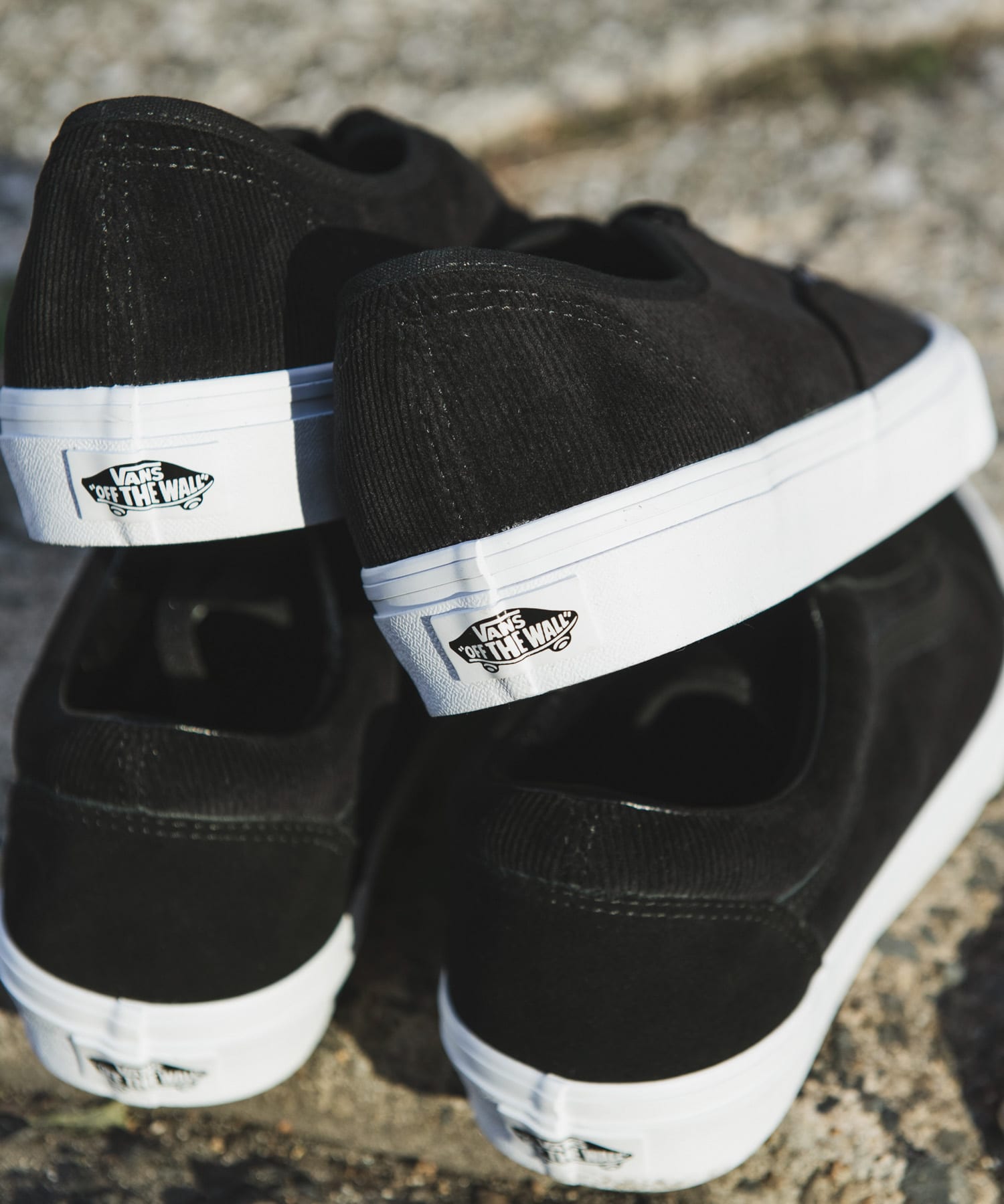 VANS　Exclusive Authentic CD BLACK 26.5