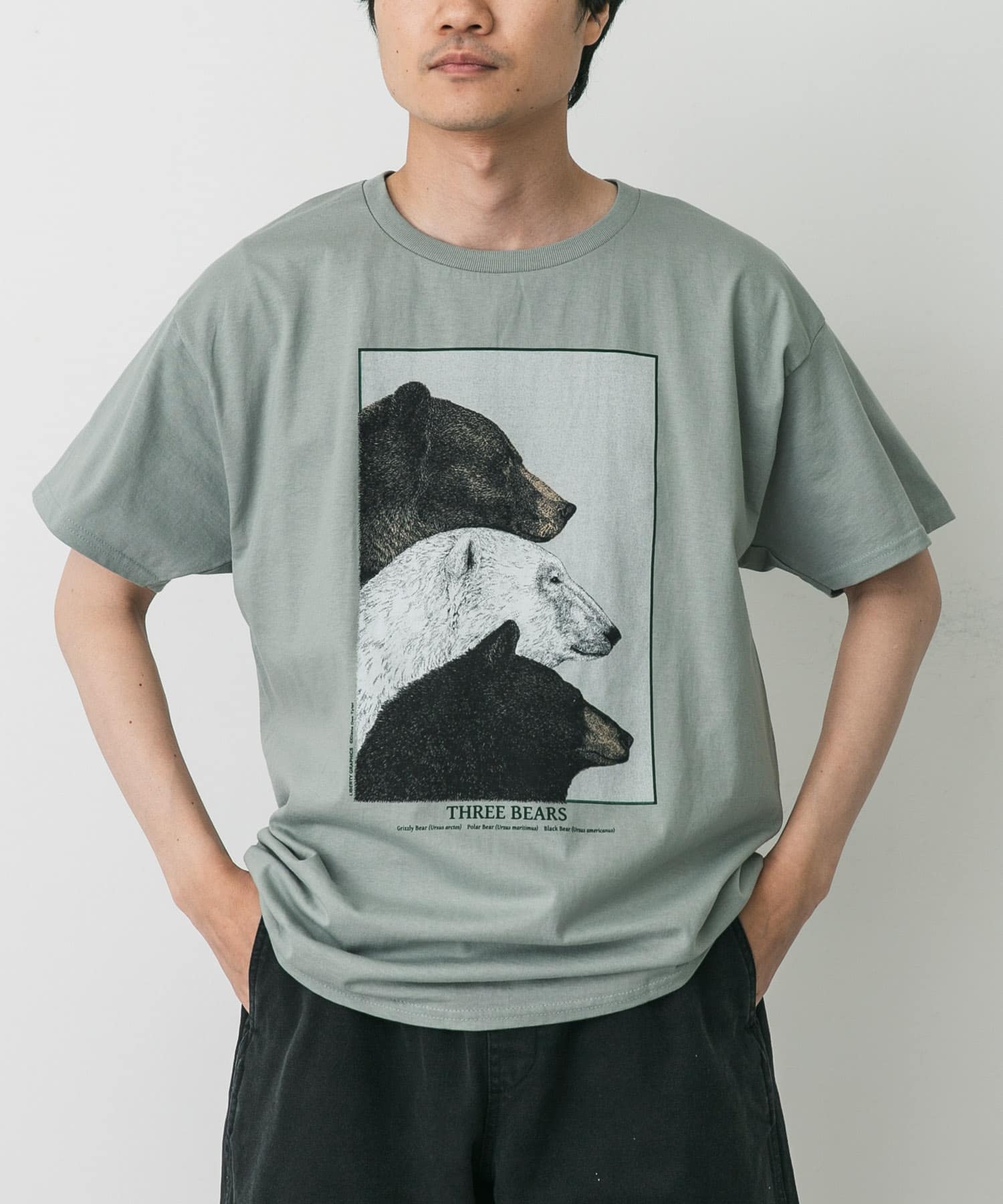 LIBERTY GRAPHICS Three Bears(L SAGE): トップス｜URBAN RESEARCH公式