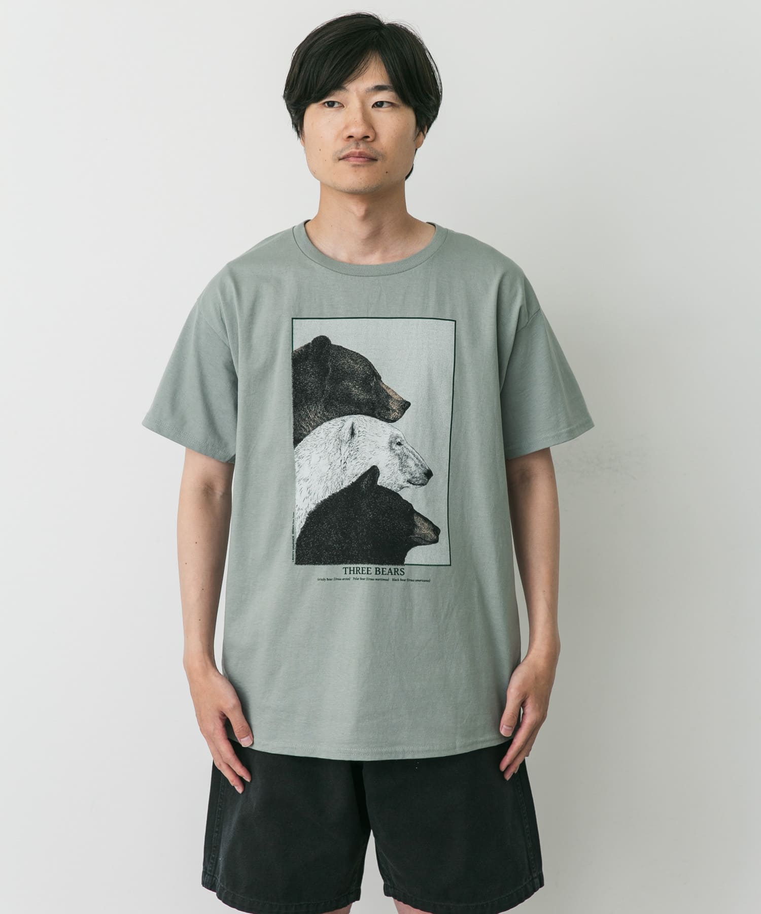 LIBERTY GRAPHICS Three Bears(L SAGE): トップス｜URBAN RESEARCH公式