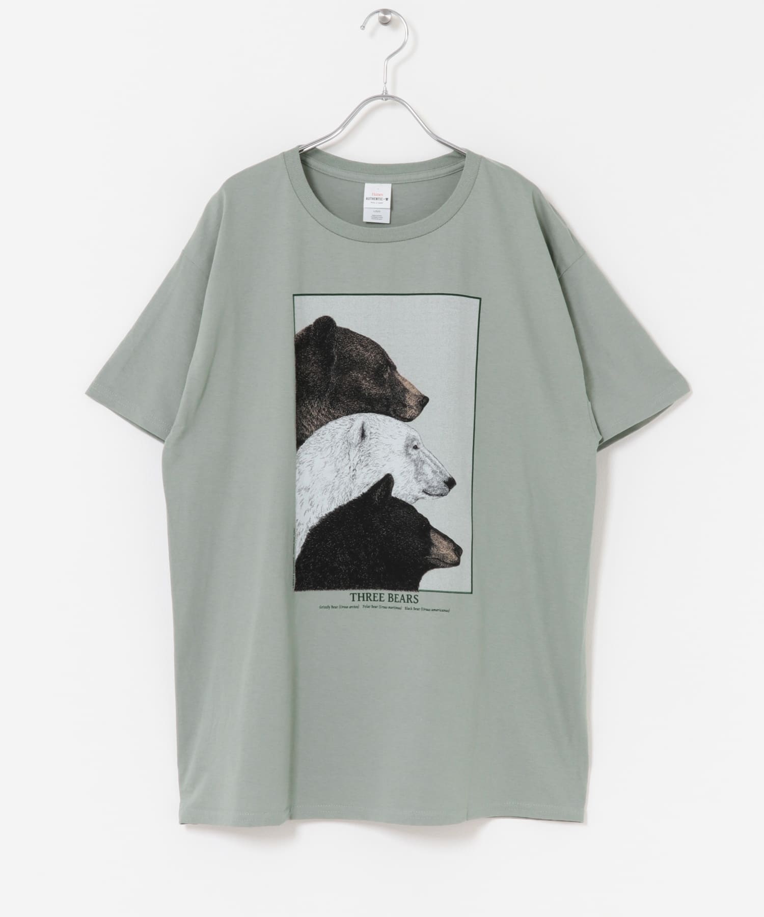 LIBERTY GRAPHICS　Three Bears SAGE L