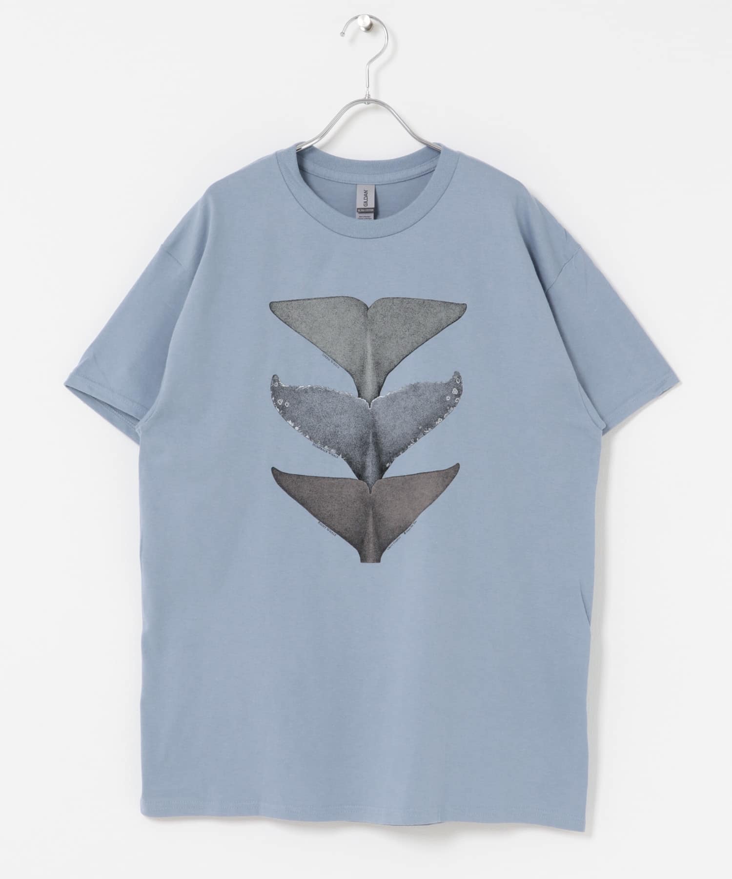 LIBERTY GRAPHICS　Whale Tails S.BLUE L