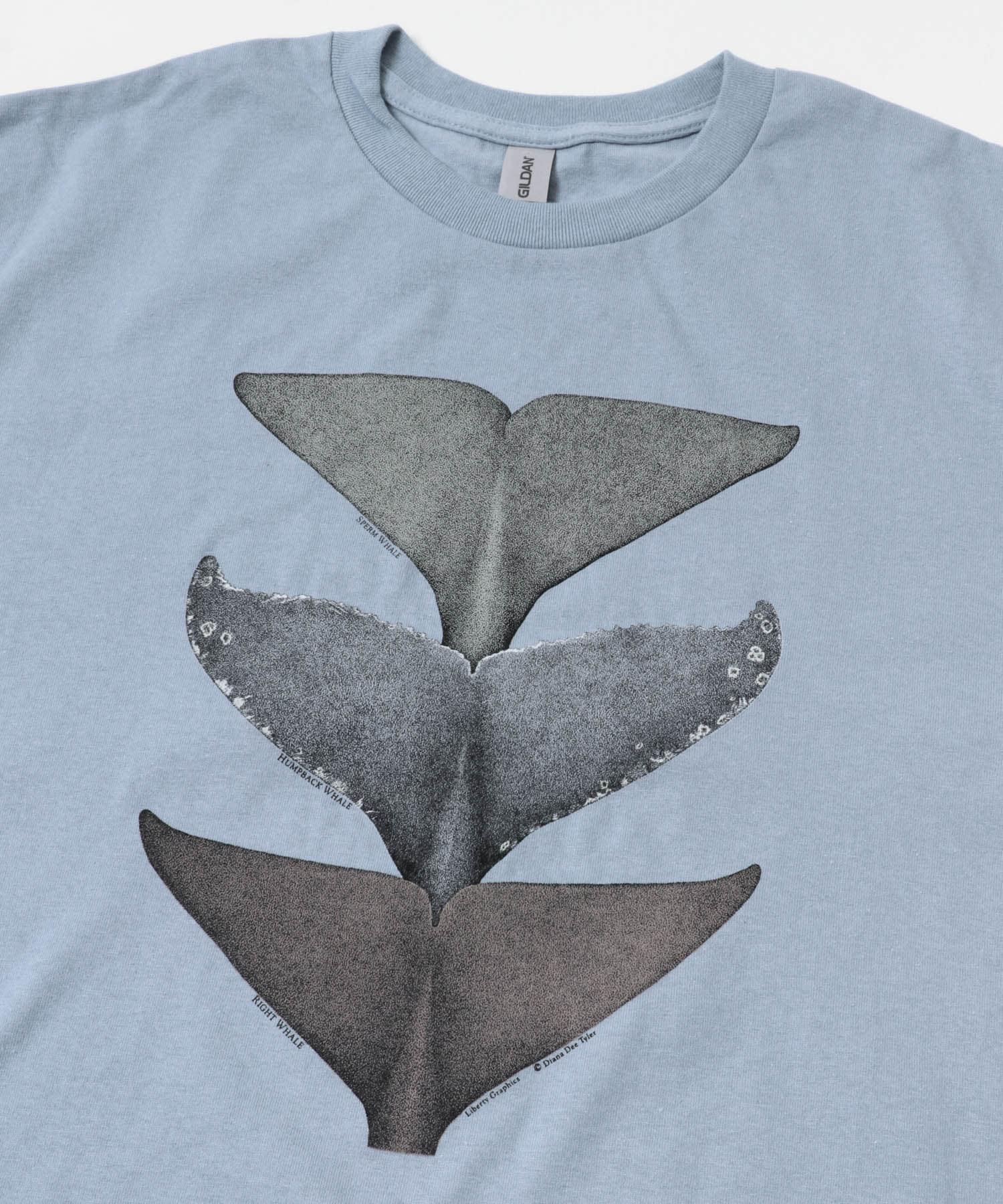 LIBERTY GRAPHICS　Whale Tails S.BLUE L