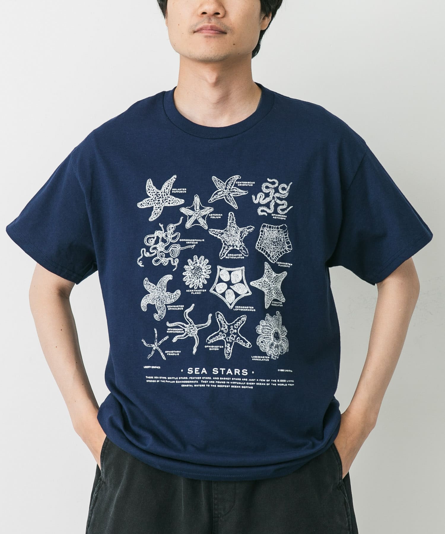  ENVIRONMENTAL グラフィックT M　five LIBERTY GRAPHICS Sea Stars(L NAVY): トップス｜URBAN RESEARCH公式