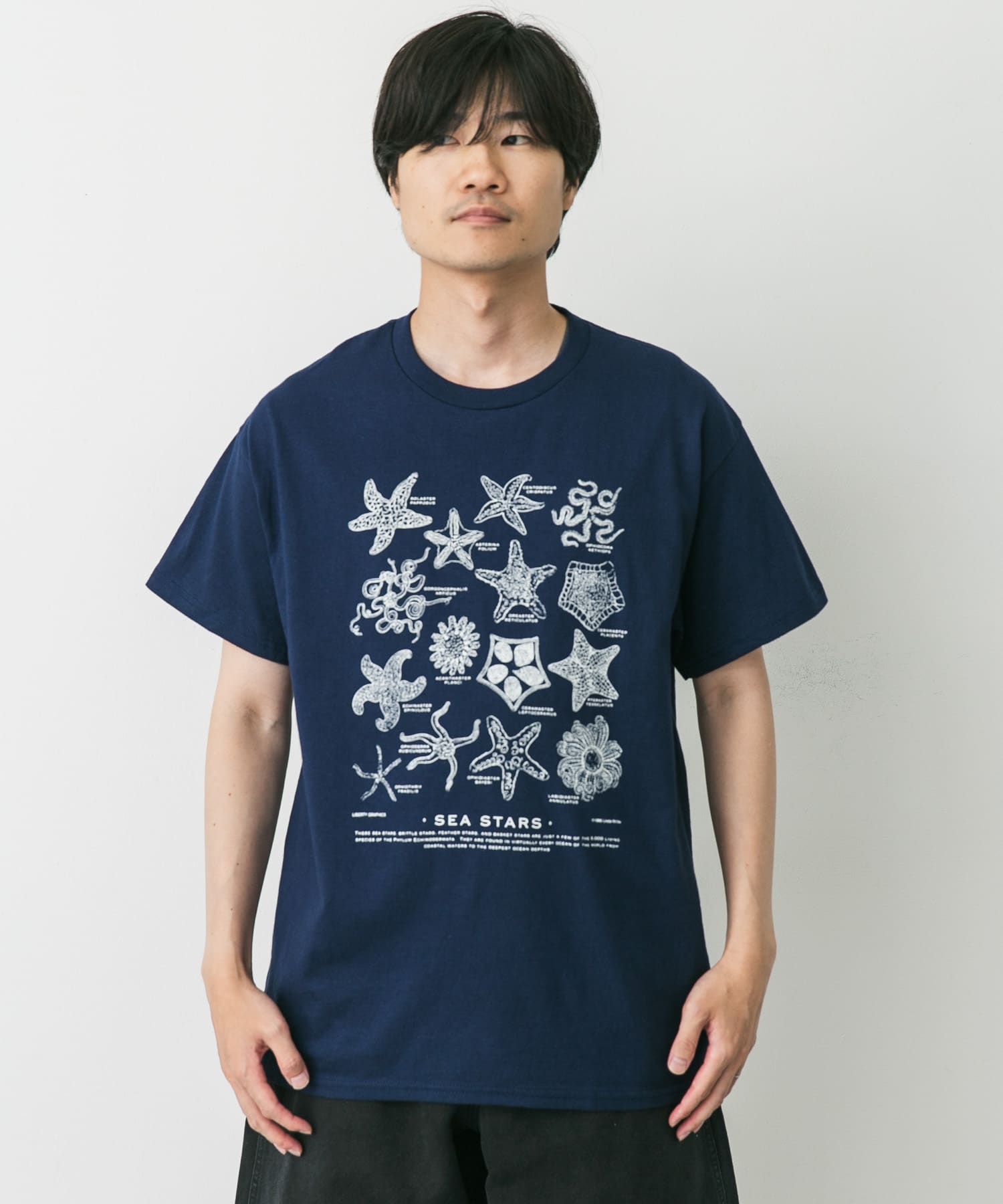 LIBERTY GRAPHICS Sea Stars(L NAVY): トップス｜URBAN RESEARCH公式