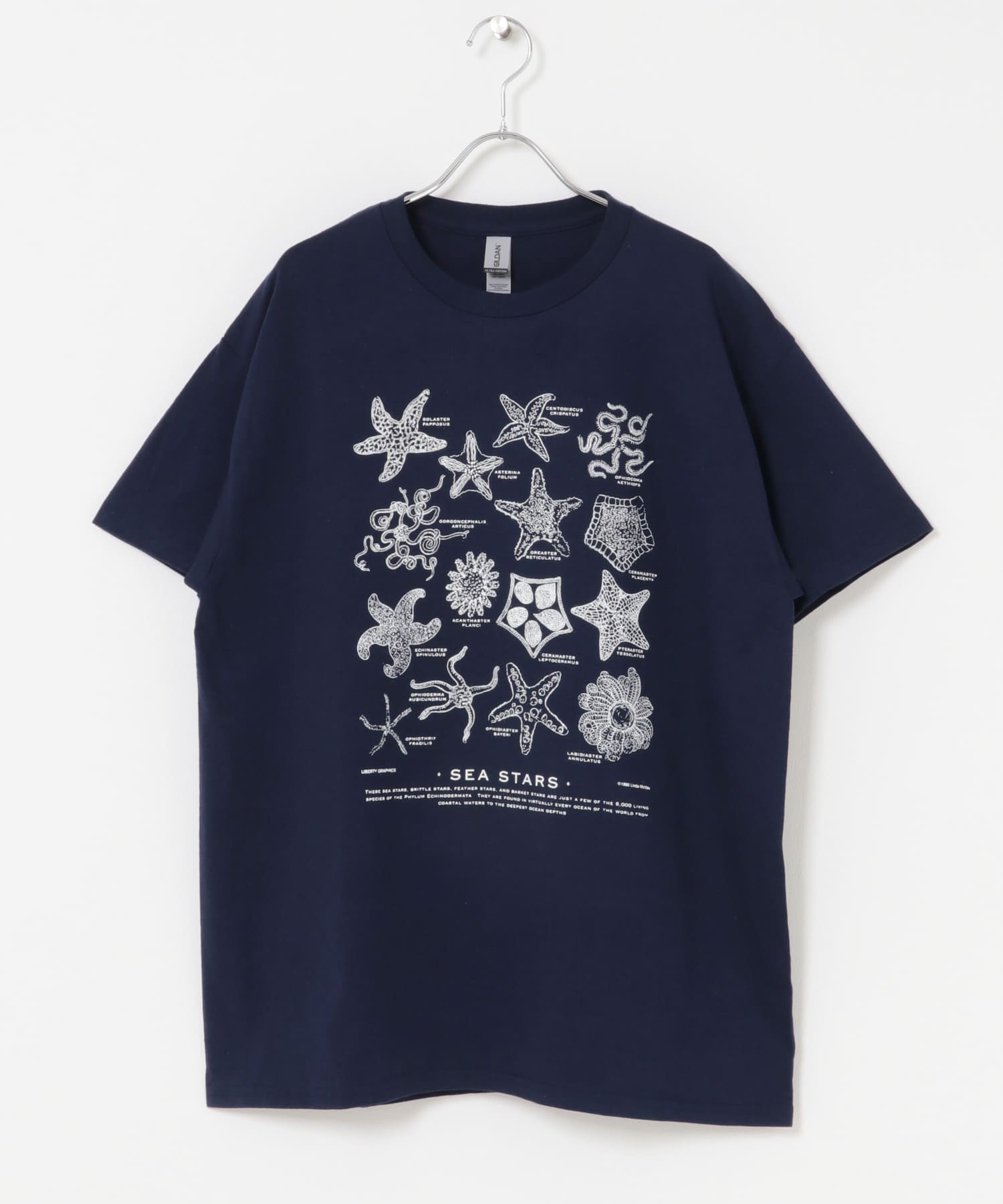 LIBERTY GRAPHICS　Sea Stars NAVY L