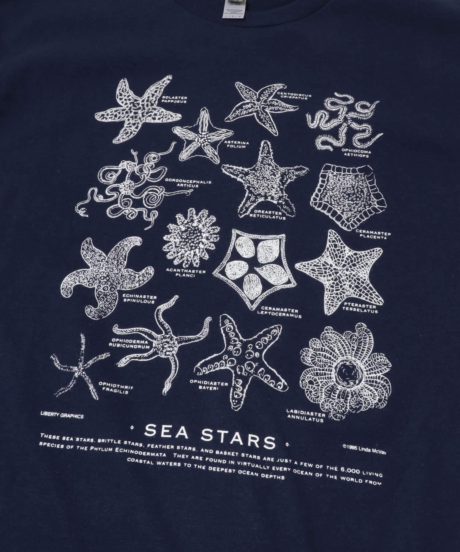 LIBERTY GRAPHICS　Sea Stars NAVY L