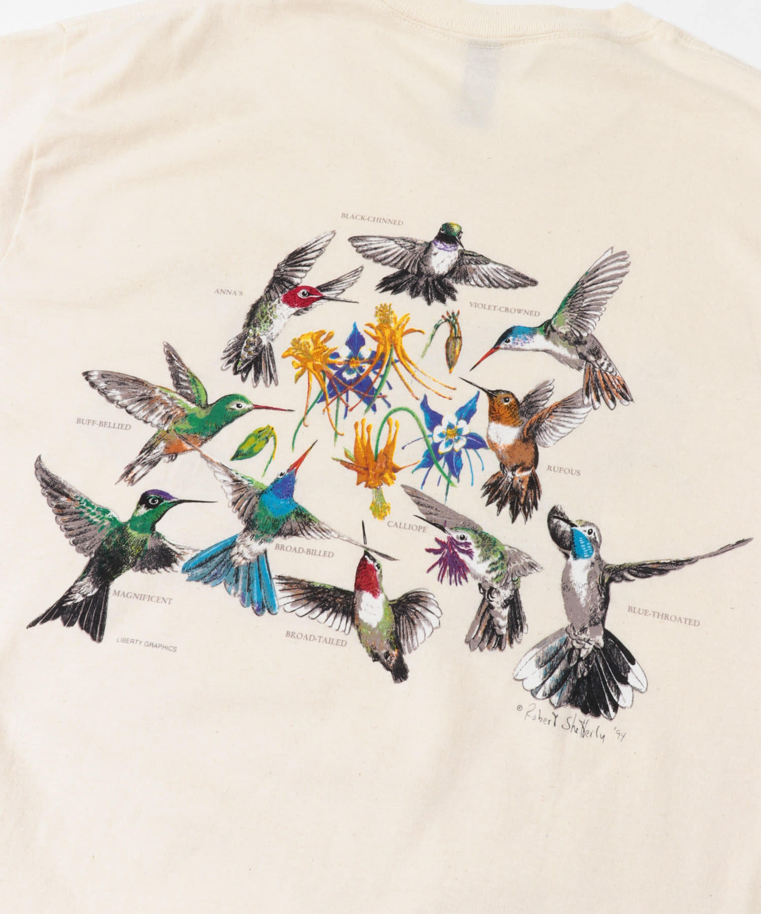 セール！ Feather and Brush：オーストラリア鳥類芸術300年 8 青シジュウカラの鳥のクリップアート、ユーラシア青
