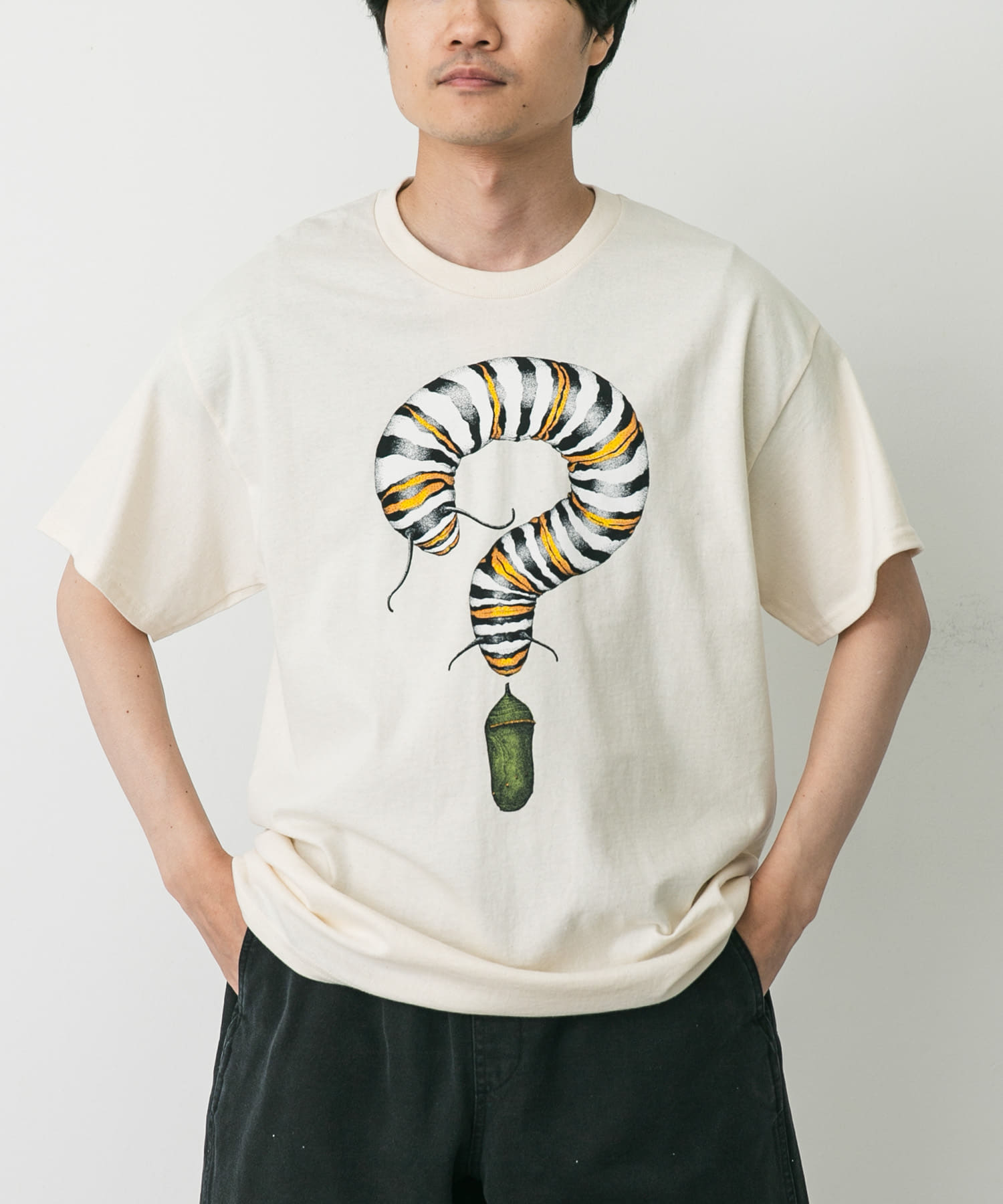 LIBERTY GRAPHICS　Monarch Metamorphosis