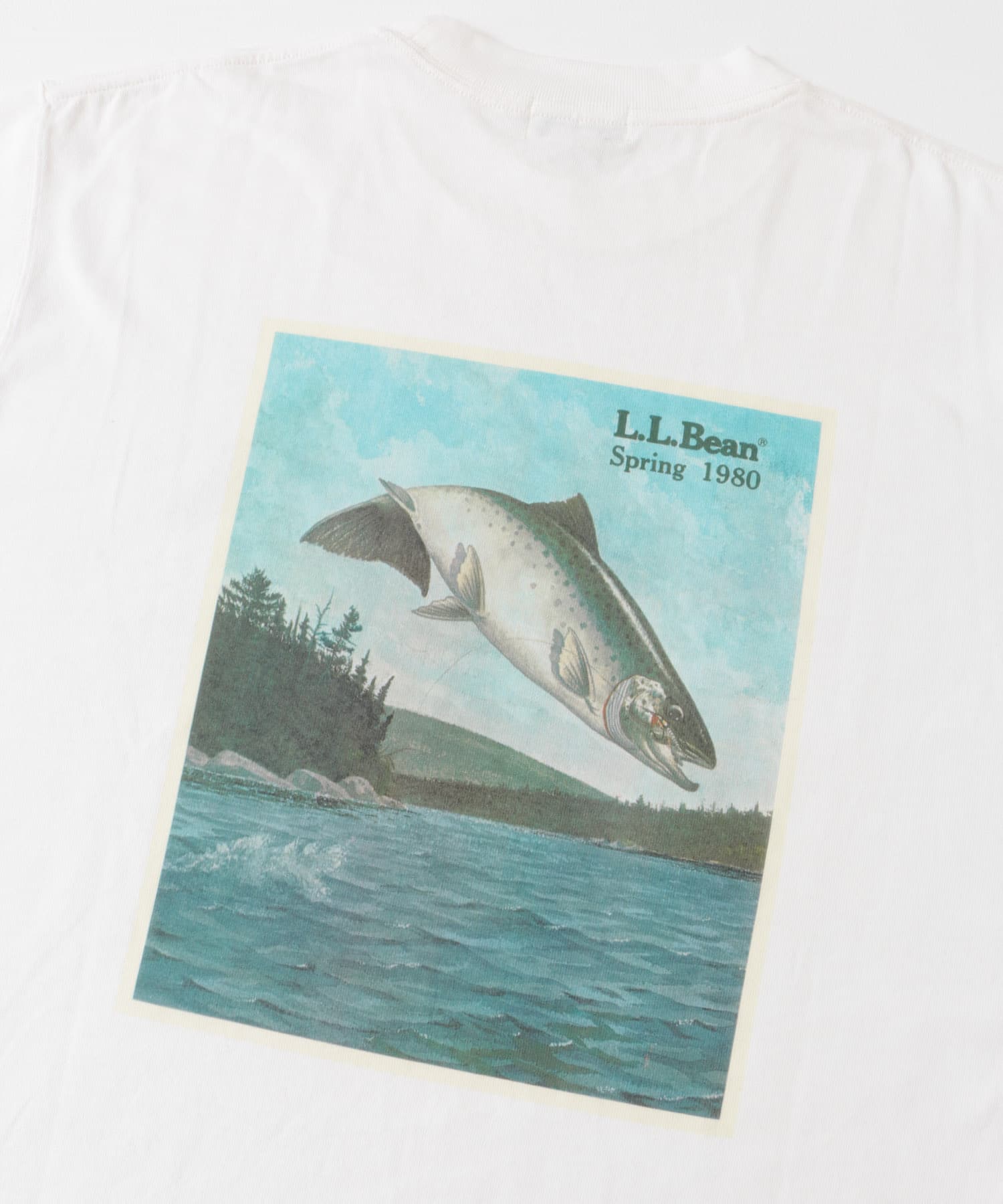 エルエルビーン　L　Beans 1980SS Catalog Trout-Tee L.L.Bean 1980 SS Catalog Trout-T-shirts[DMA5-5275-0040